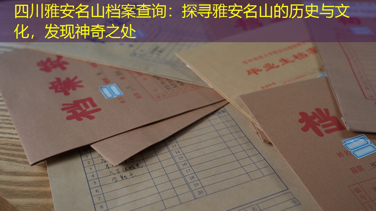档案查询