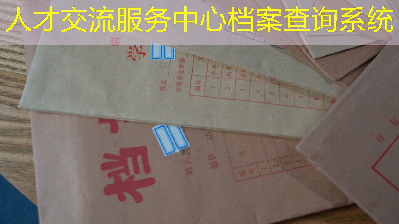 档案查询