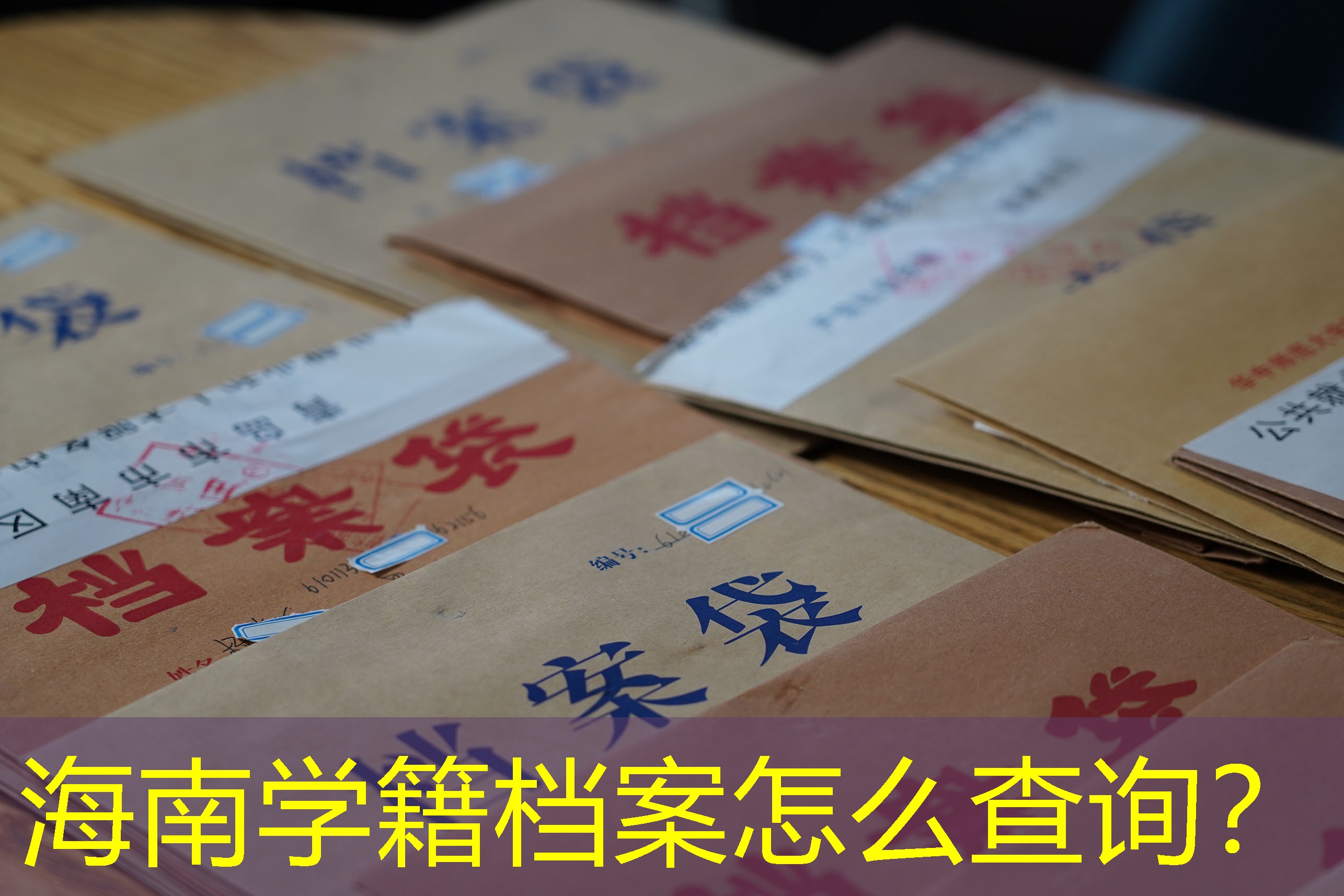 档案查询