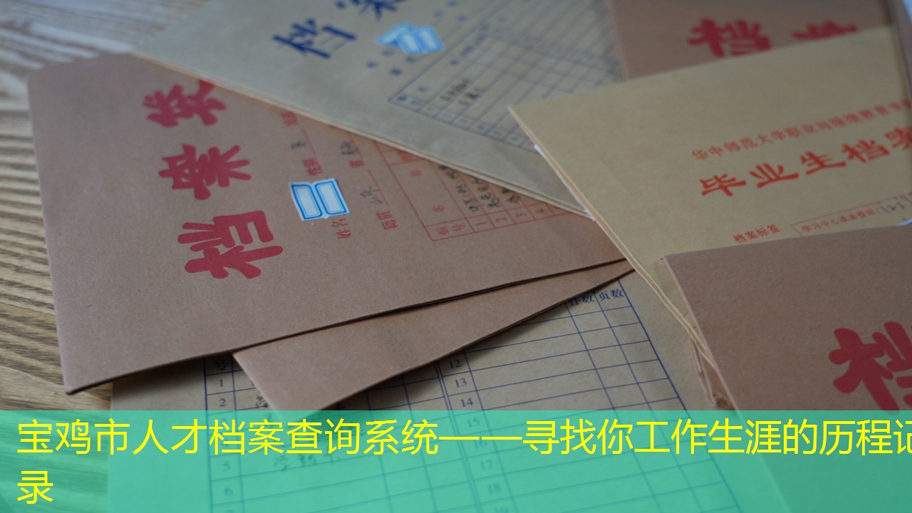档案查询