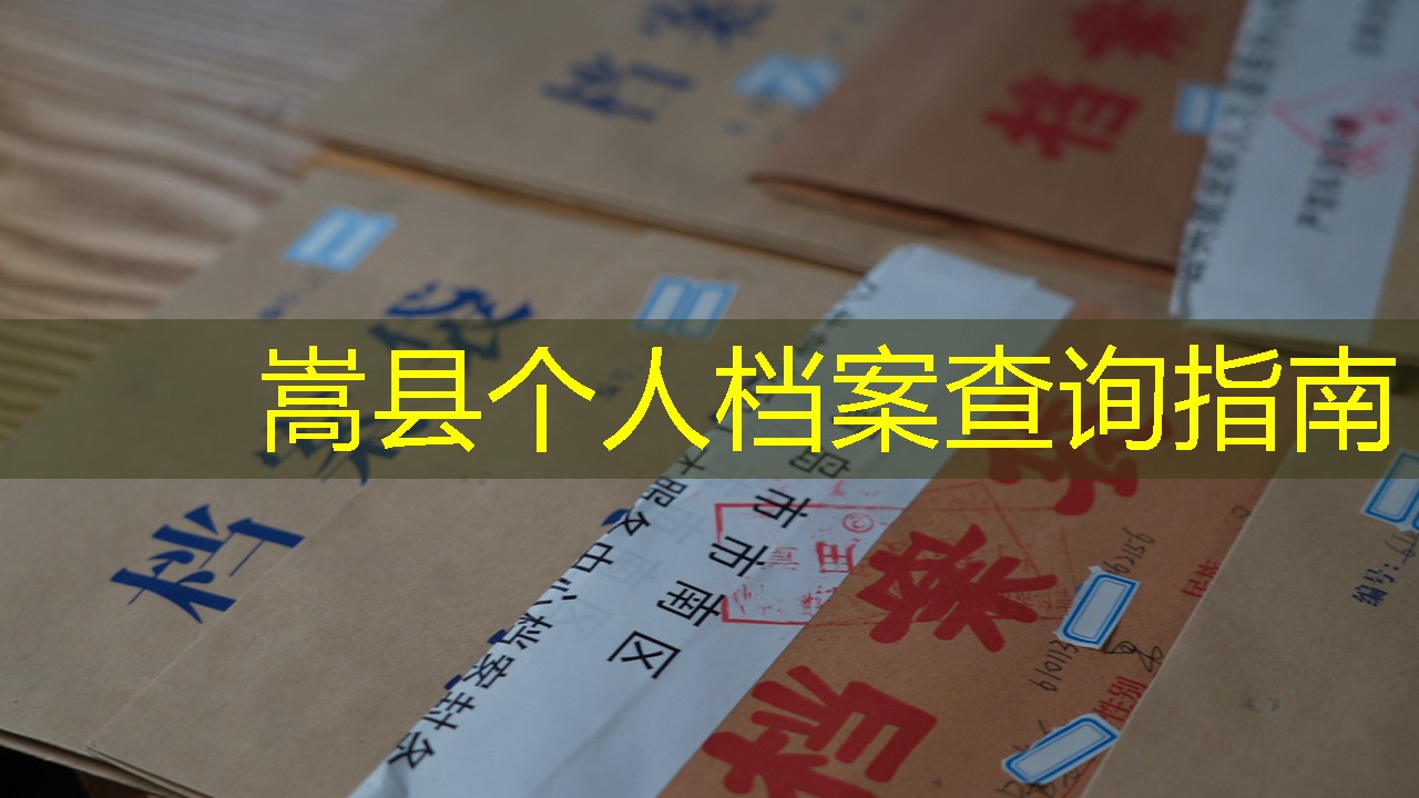 档案查询