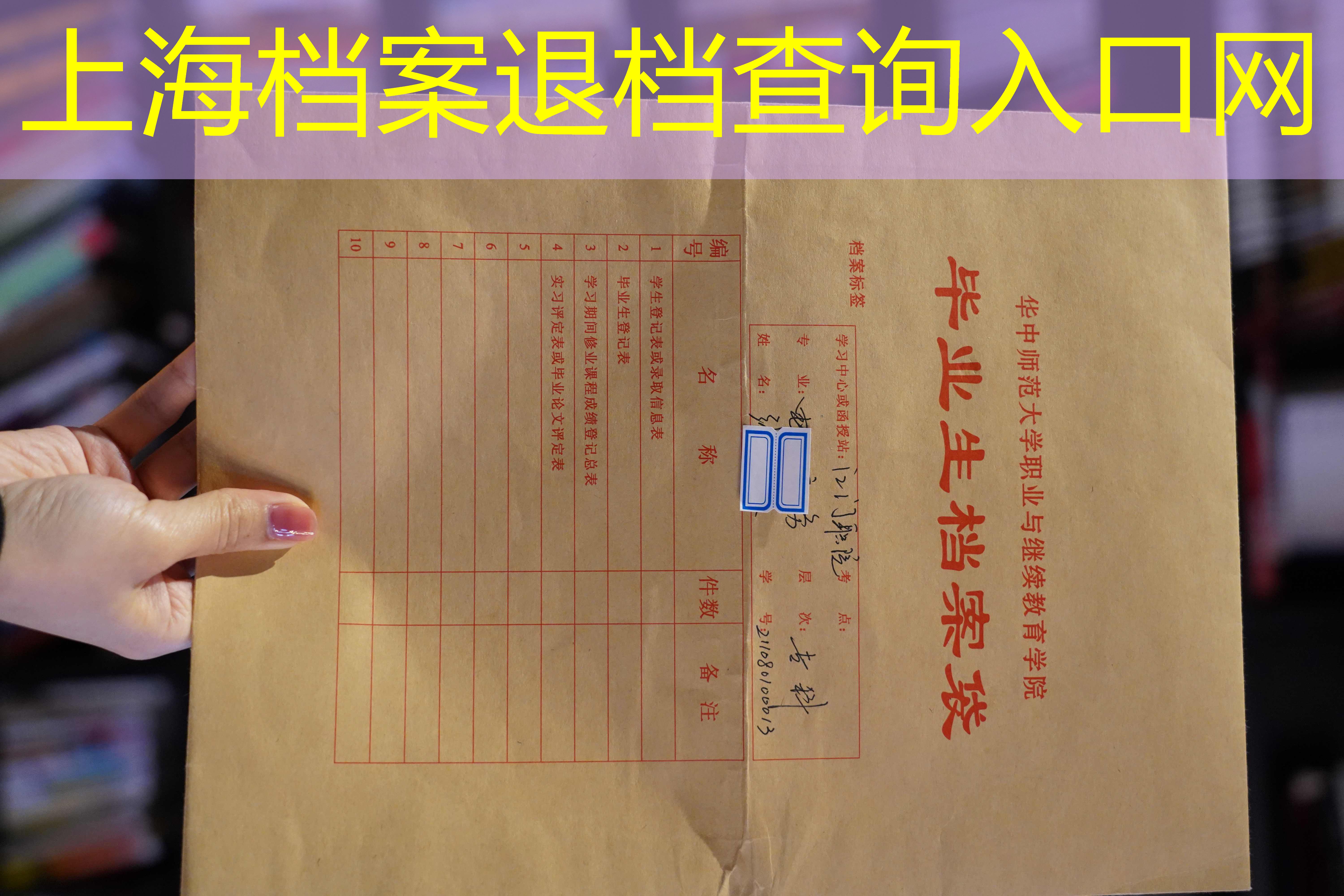 档案查询