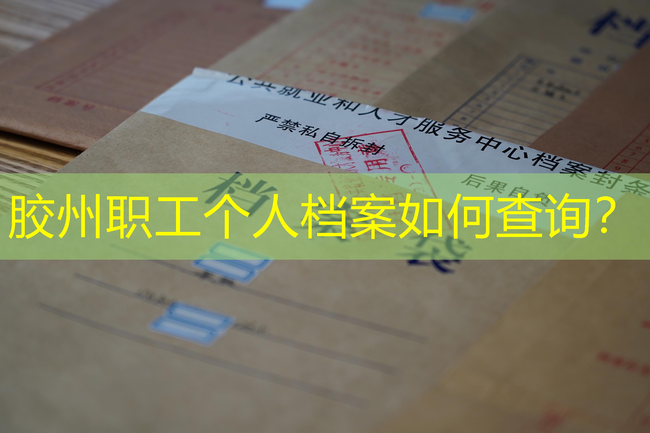 档案查询