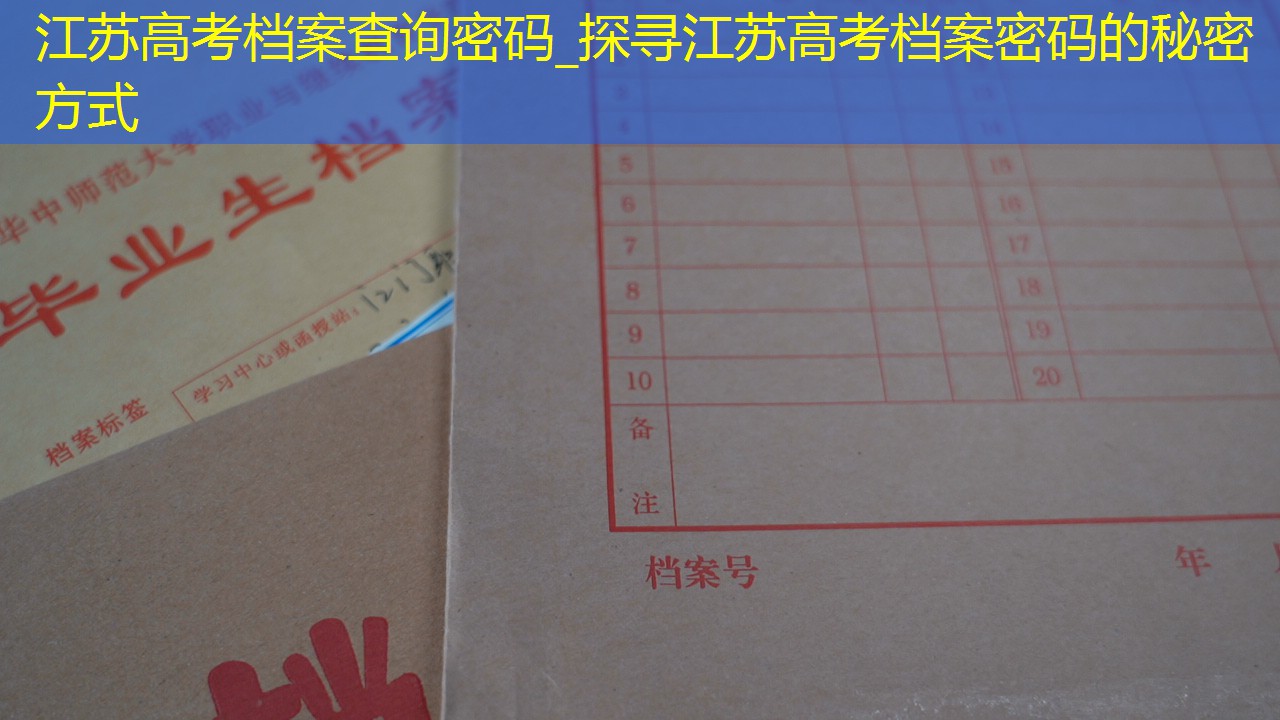 档案查询