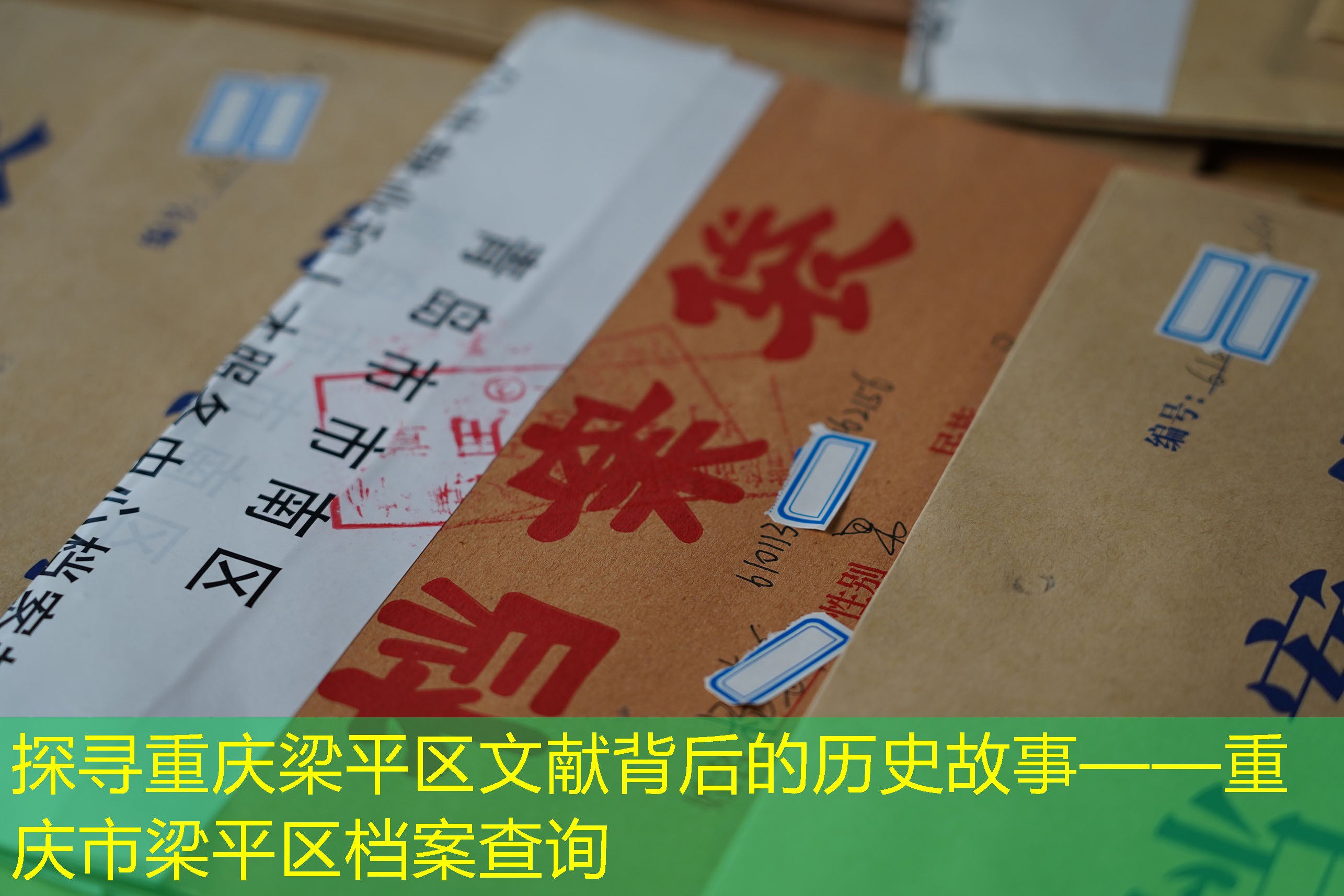 档案查询