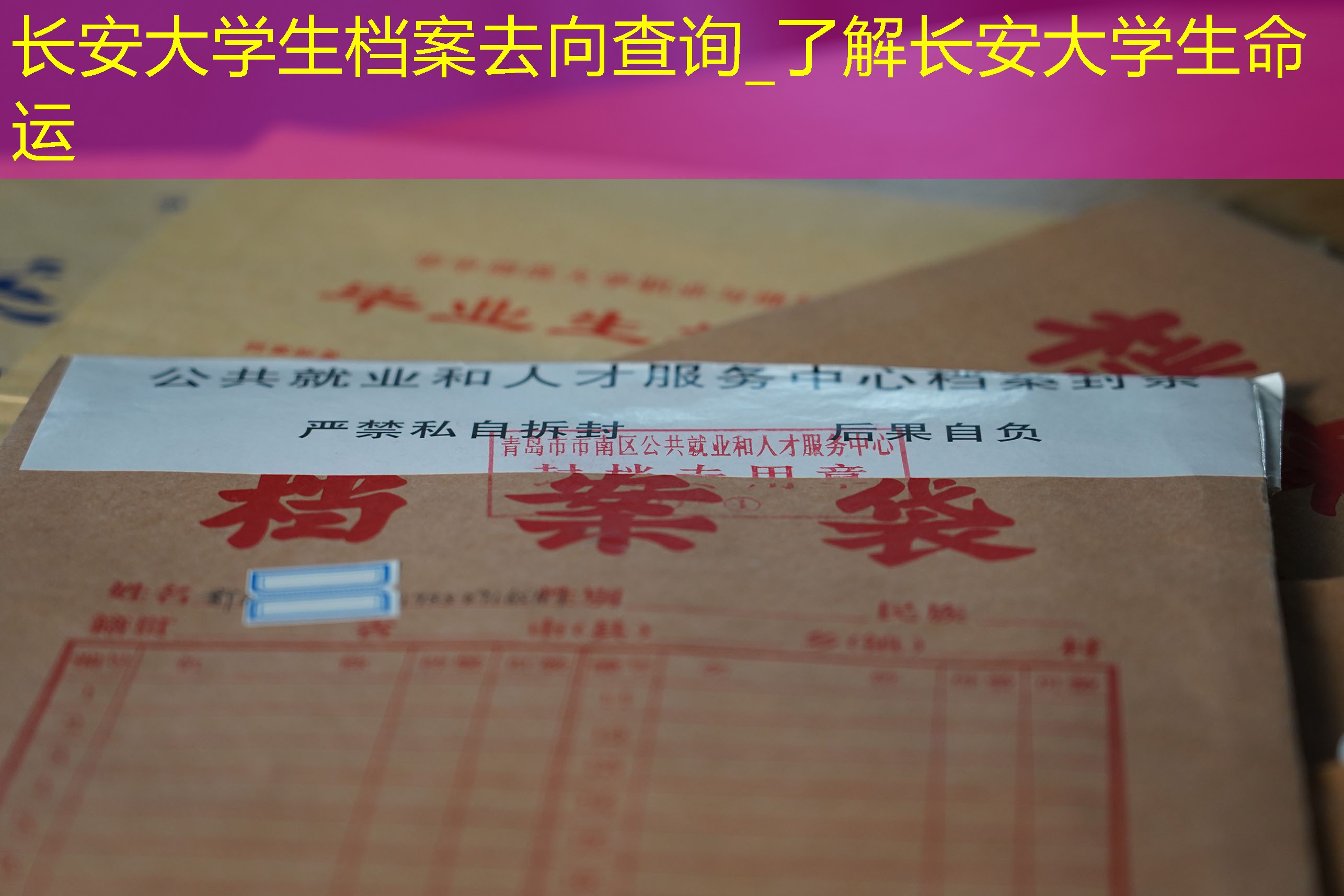 档案查询