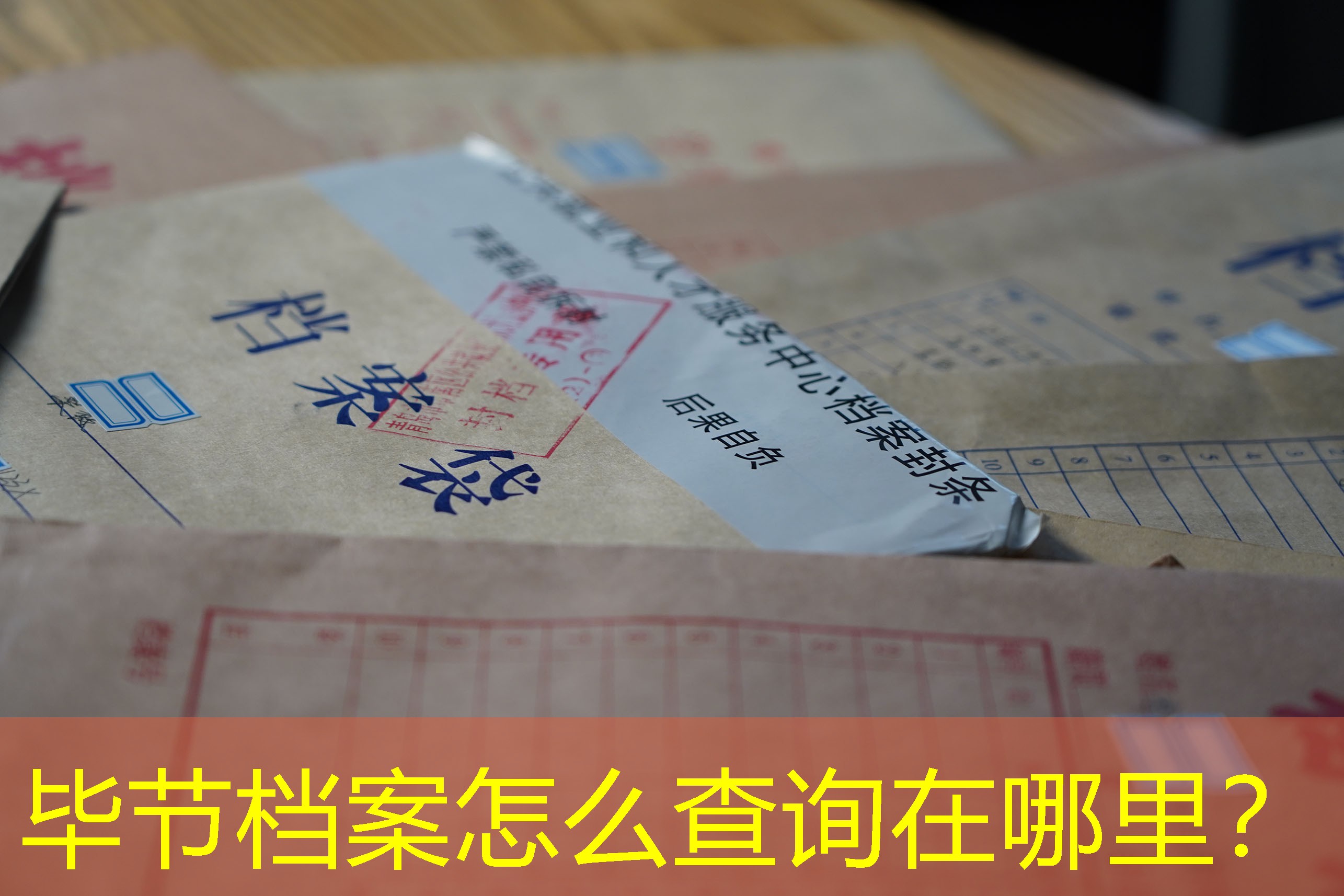 档案查询