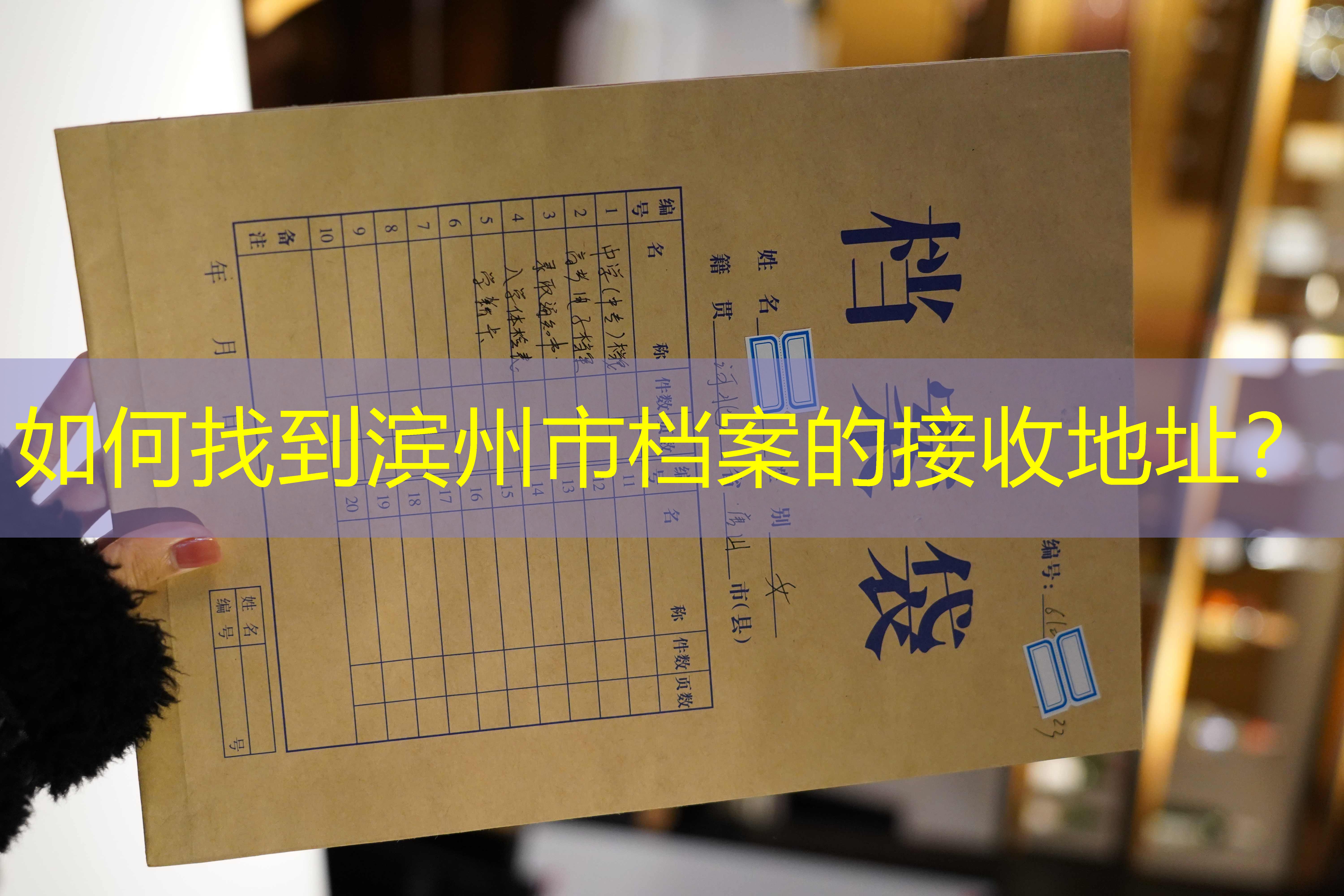 档案查询