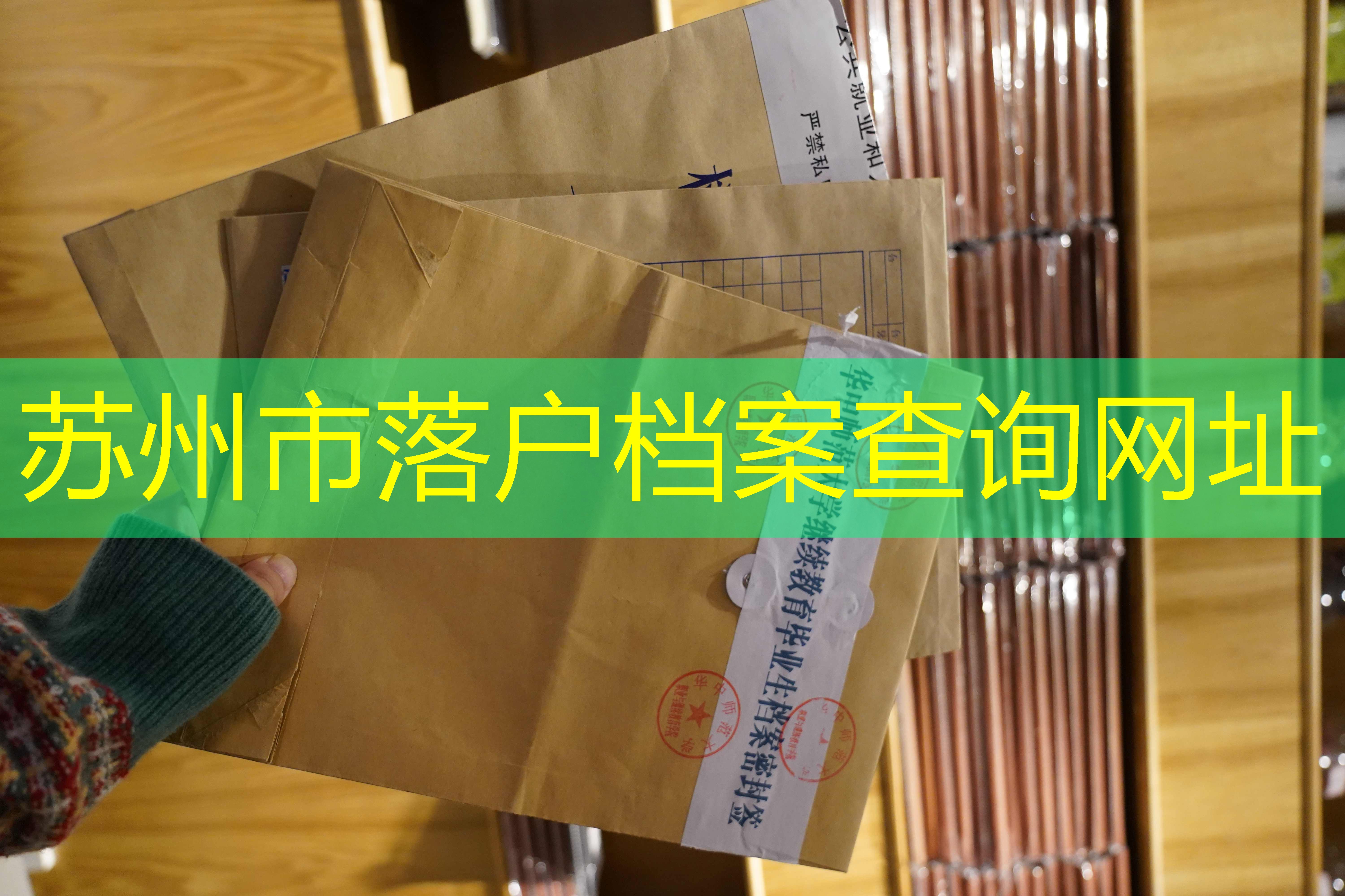 档案查询