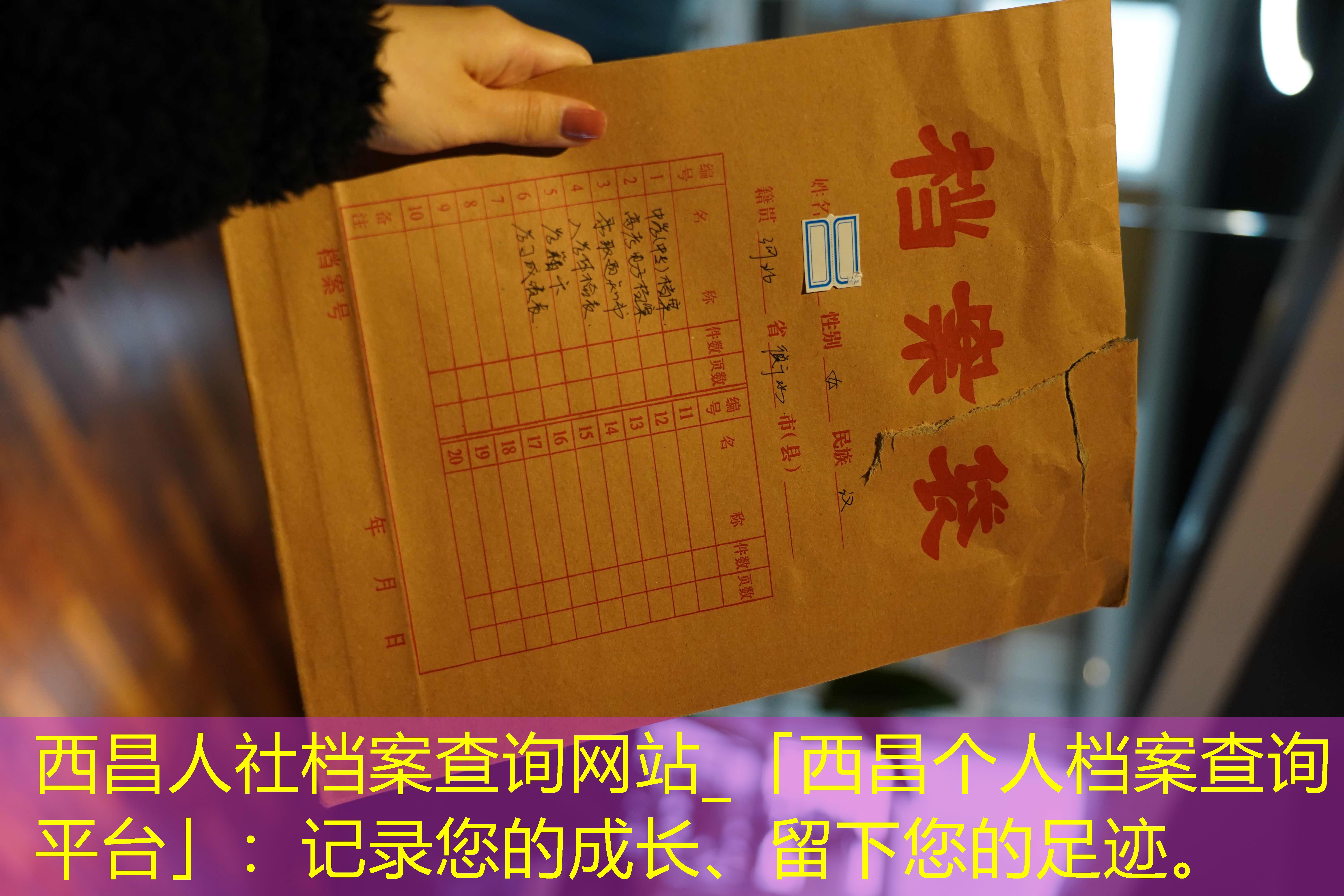 档案查询