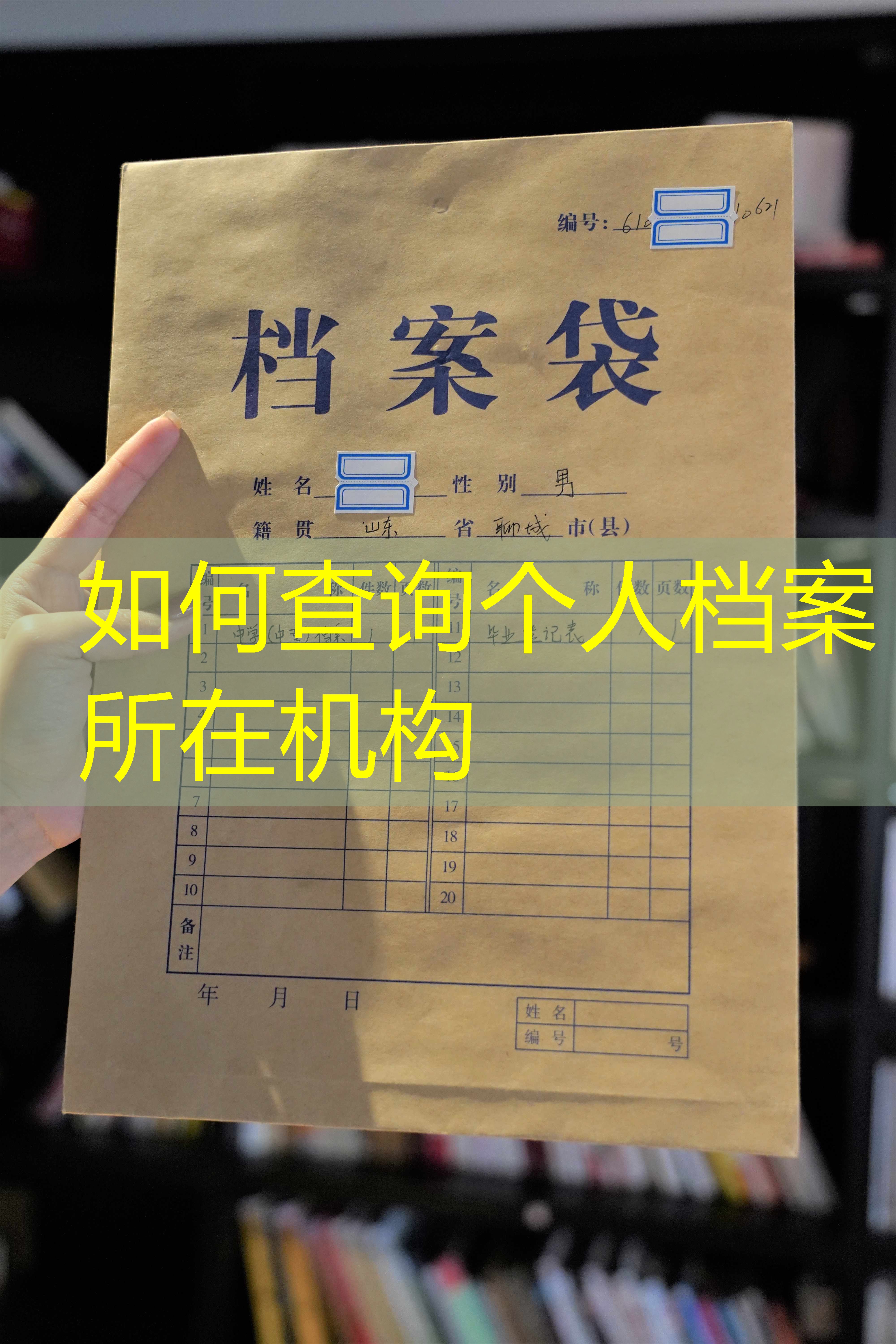 档案查询