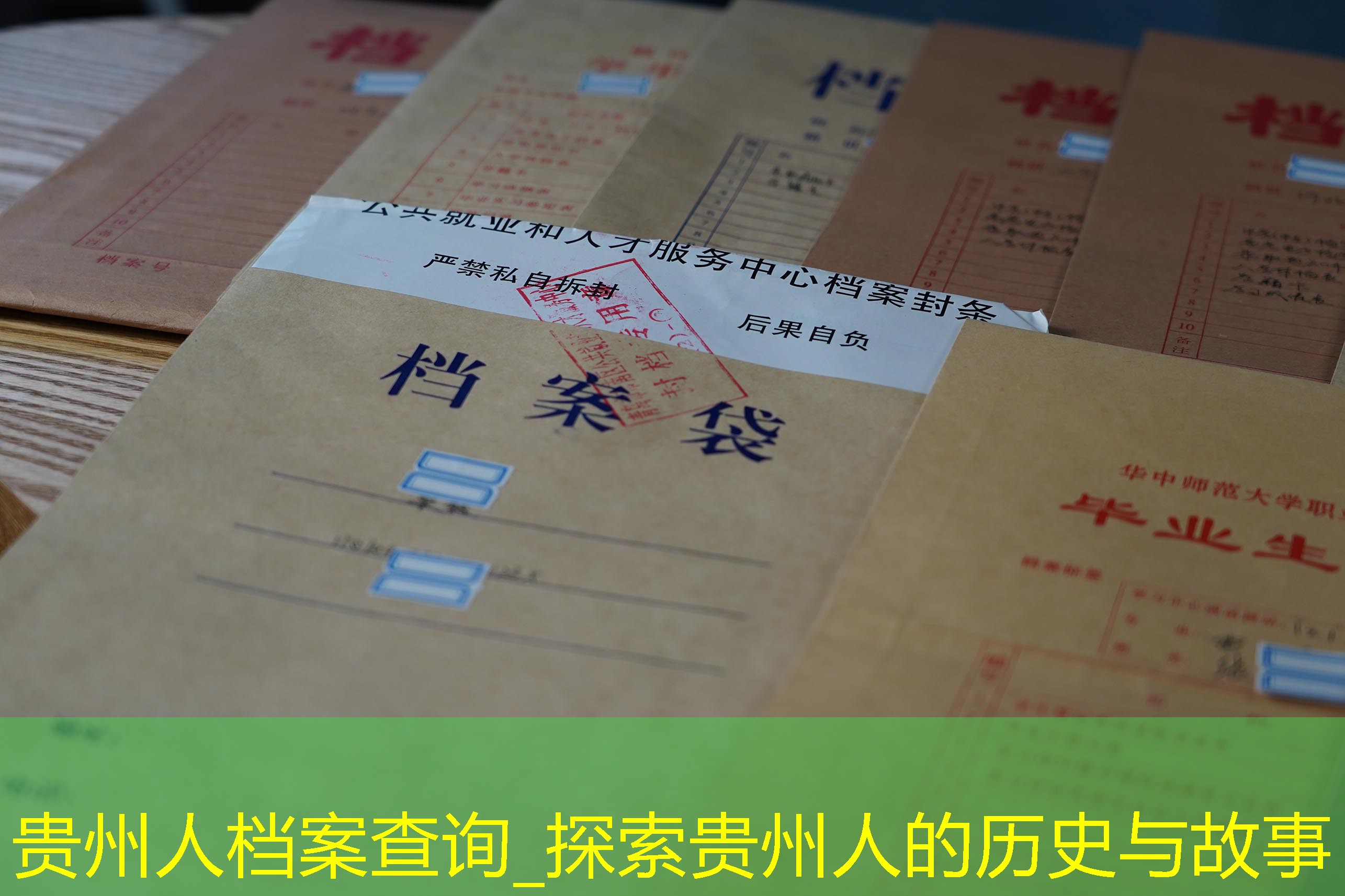 档案查询