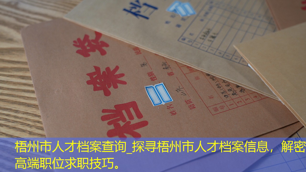档案查询