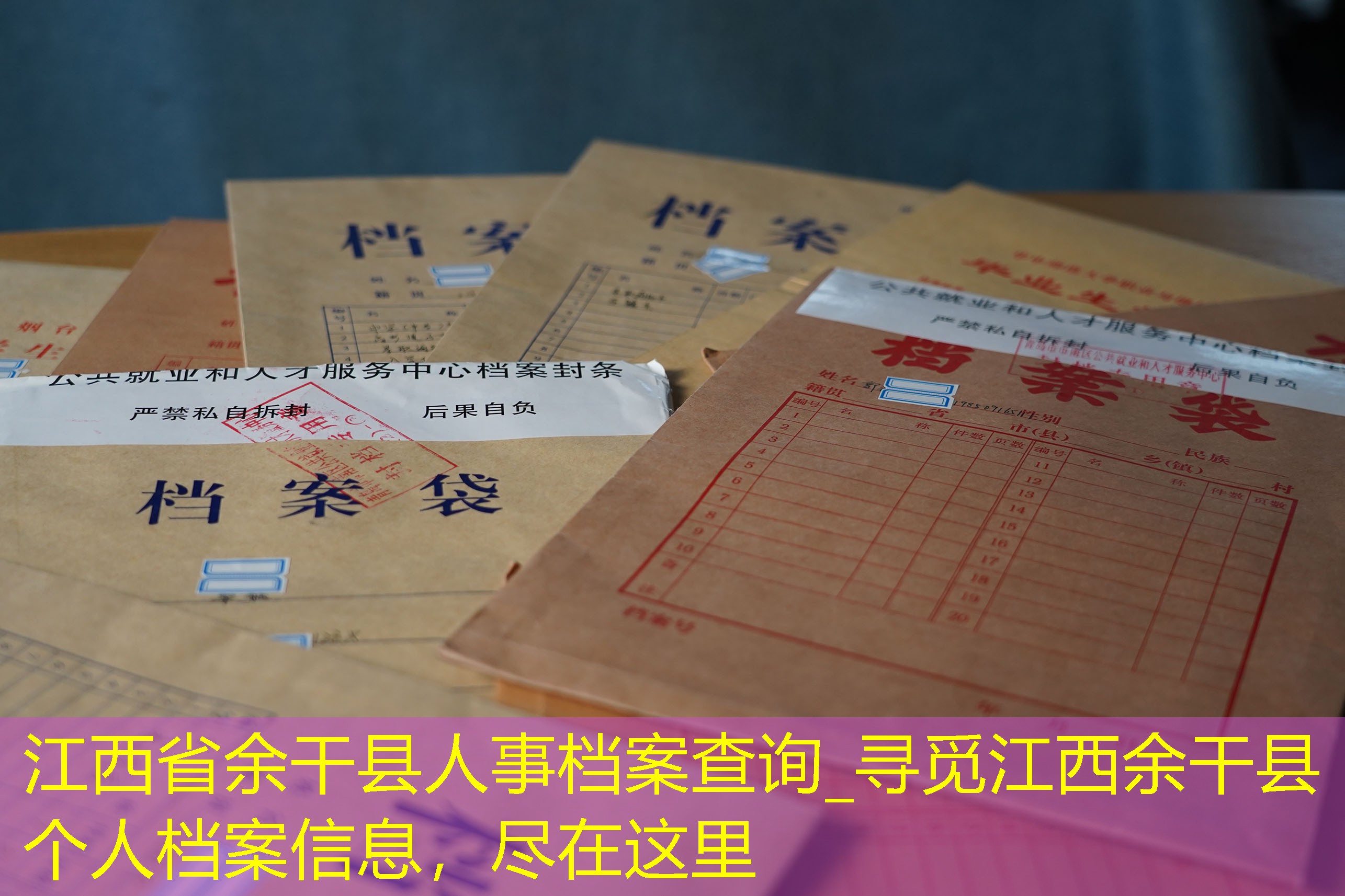 档案查询