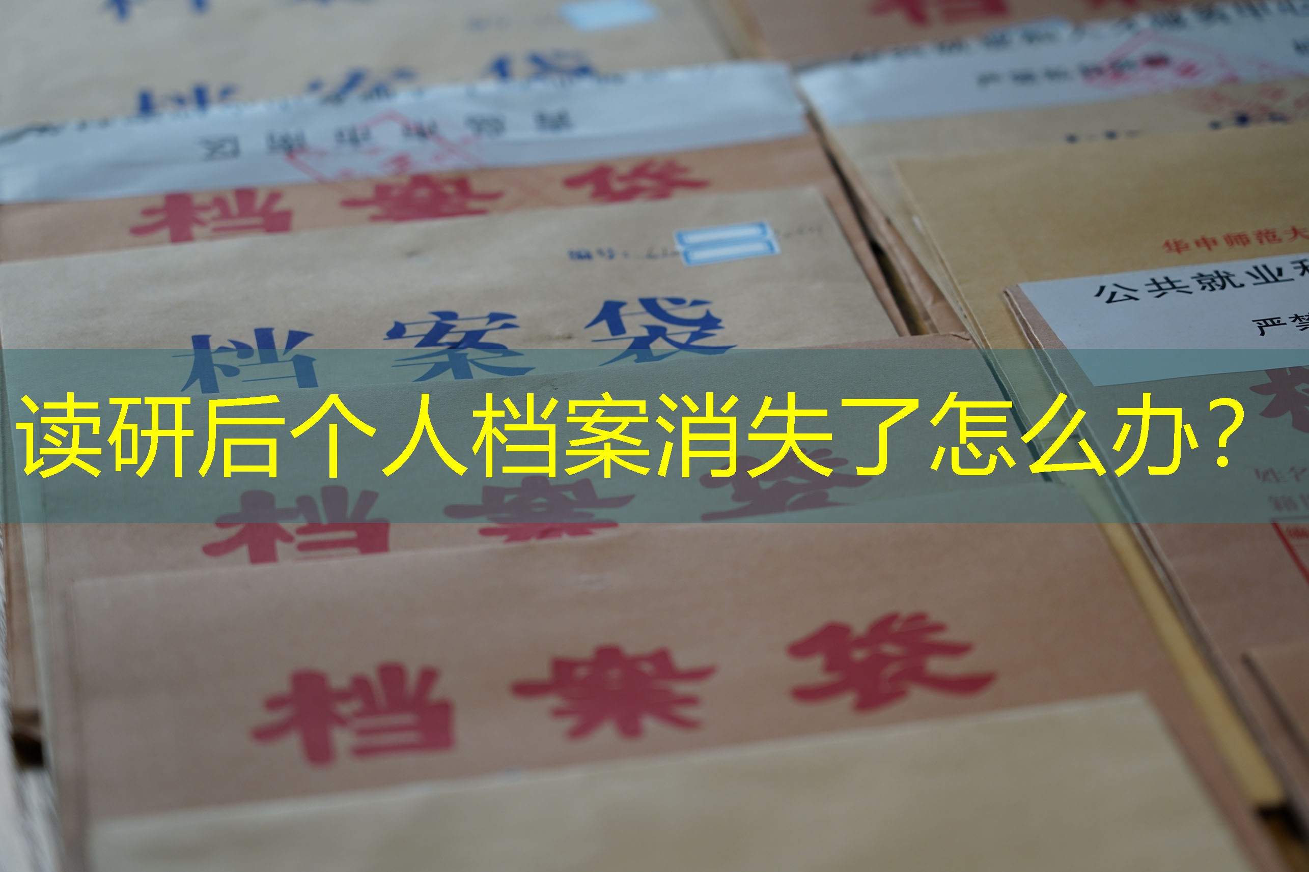 档案查询