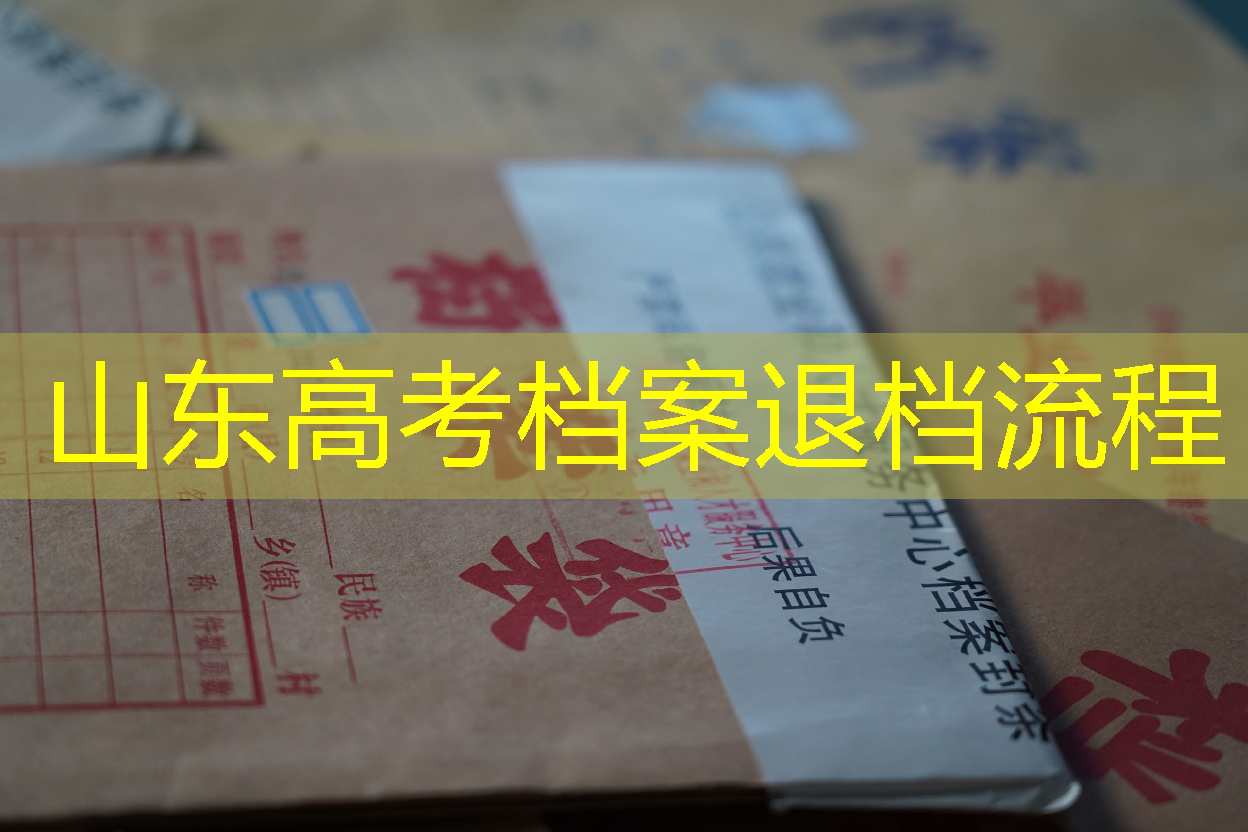 档案查询