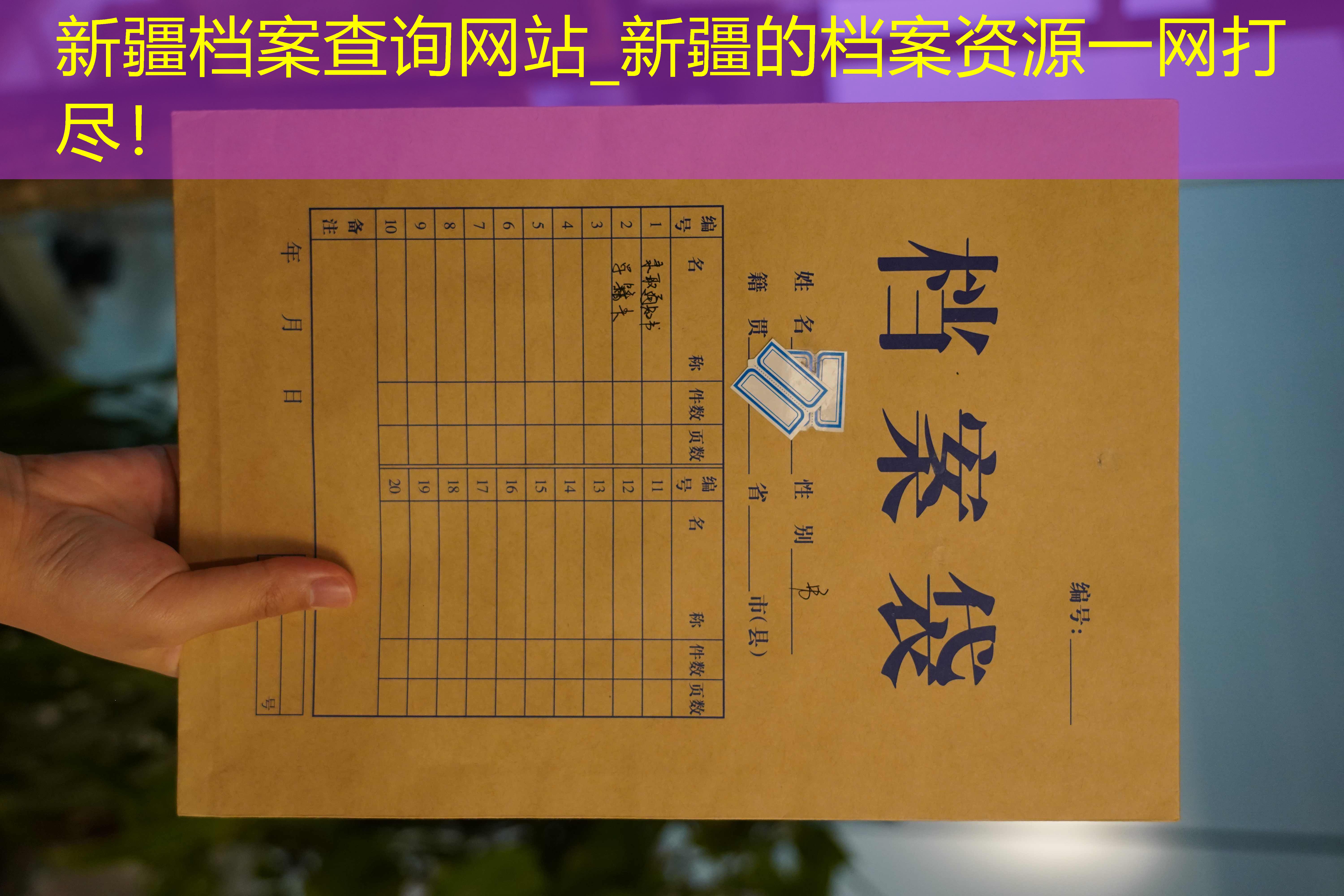 档案查询