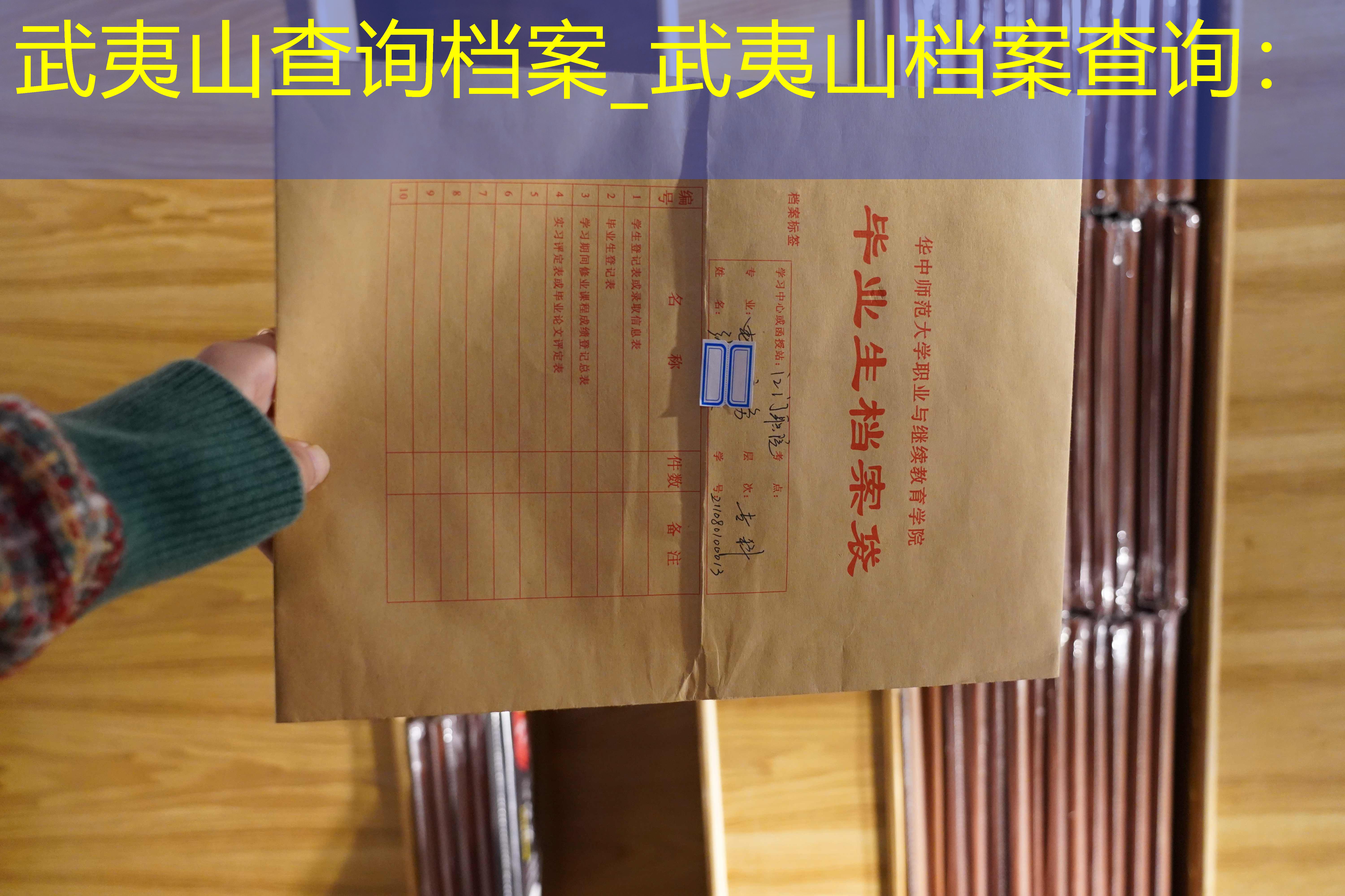 档案查询