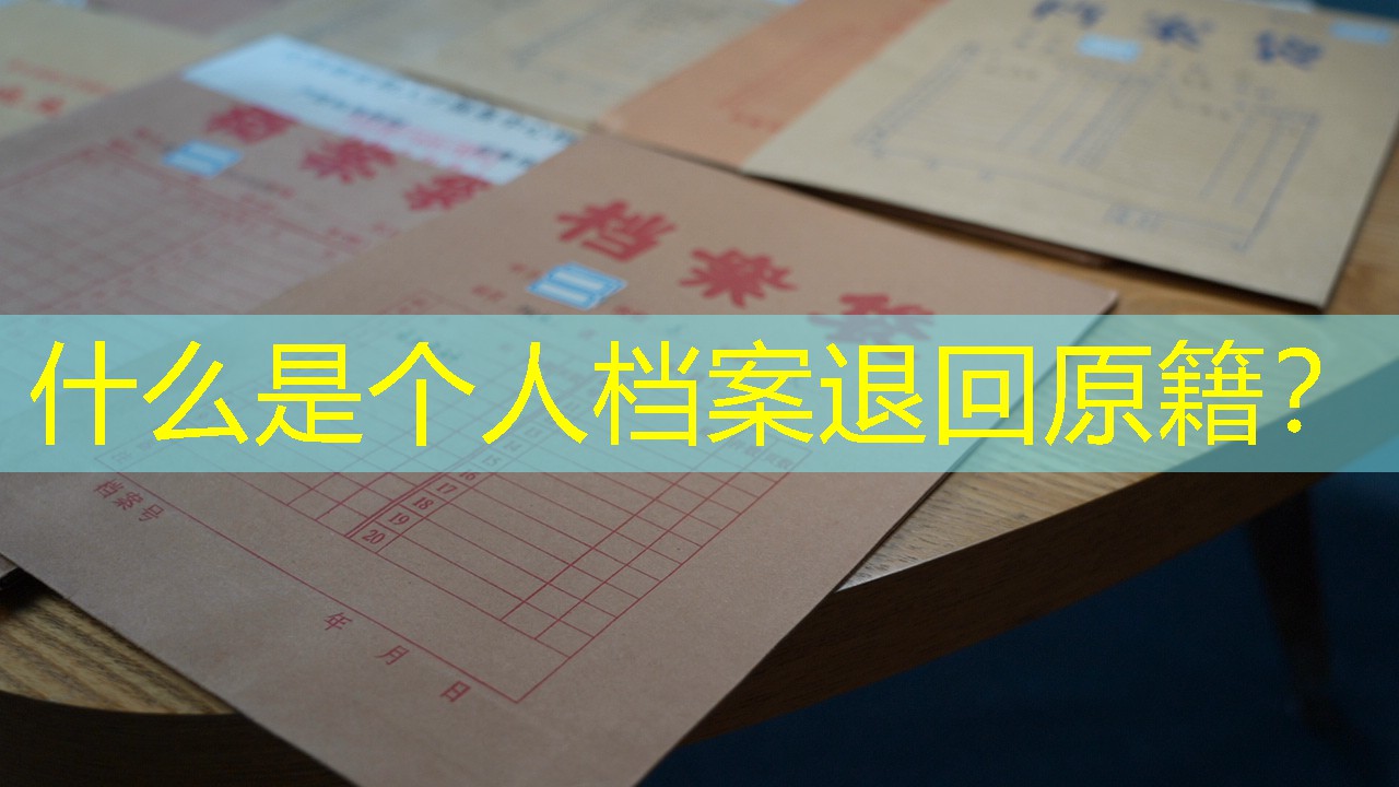 档案查询