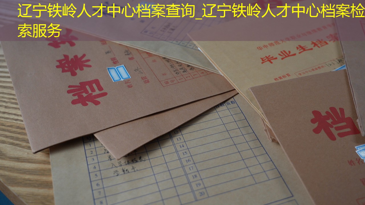 档案查询