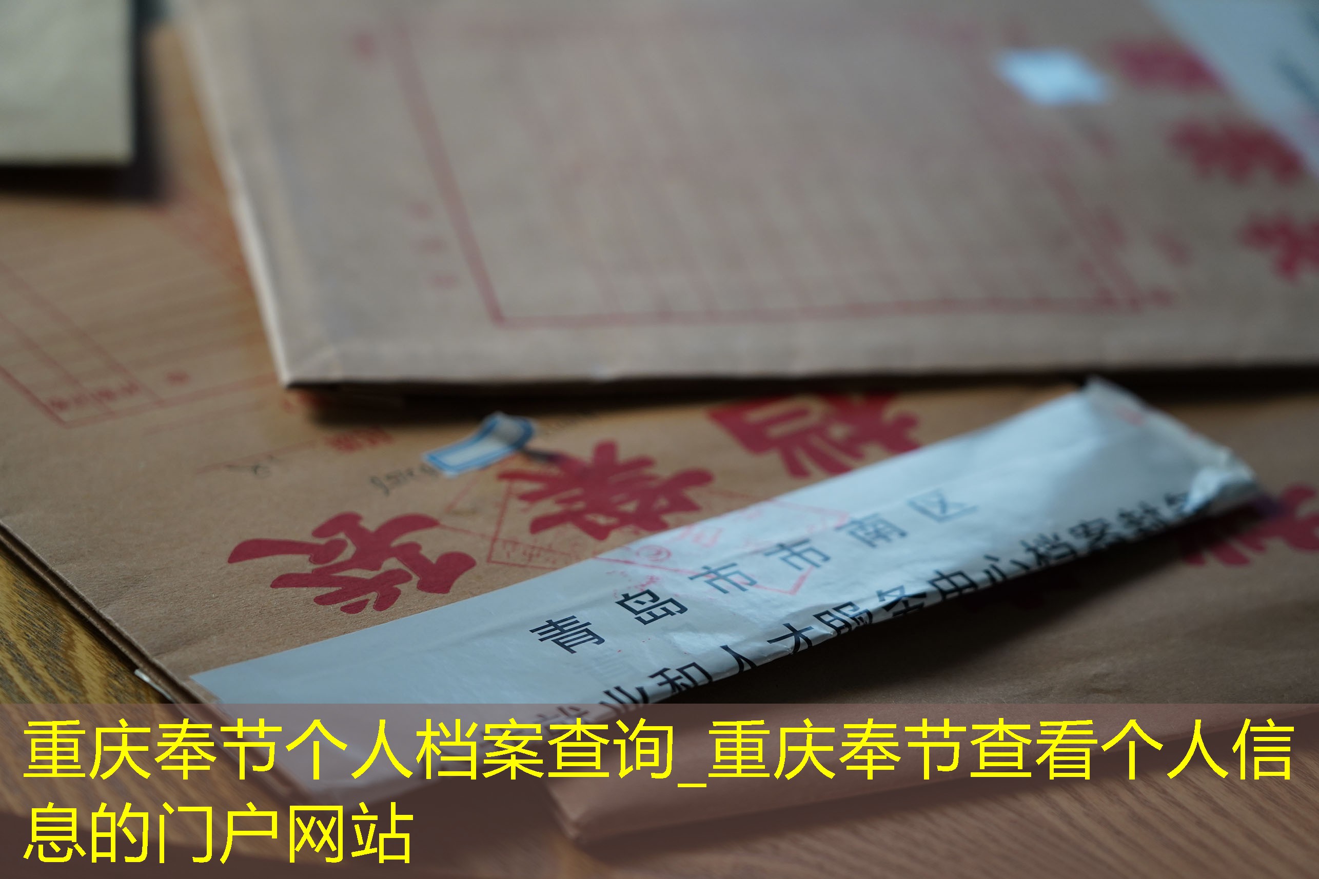 档案查询