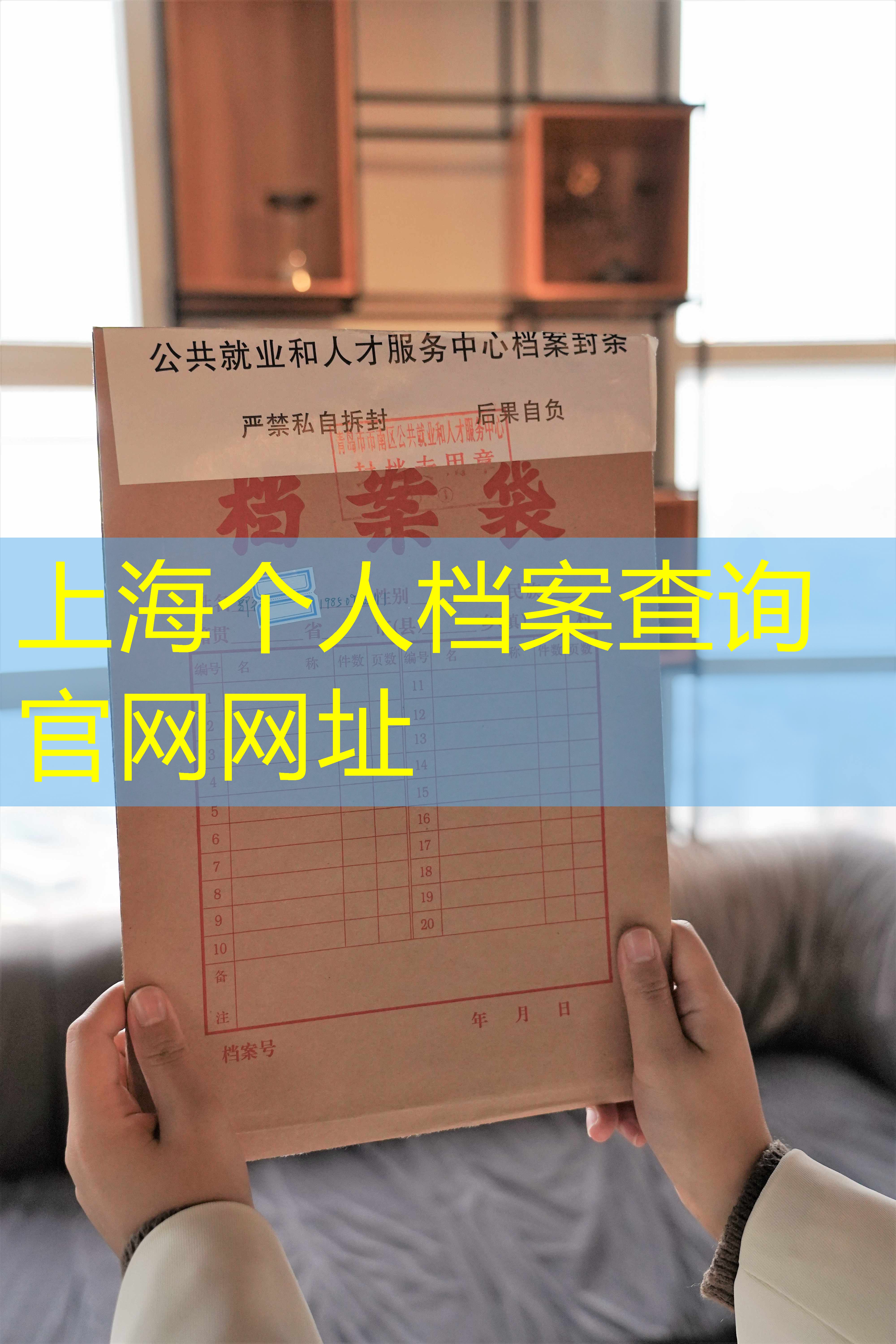 档案查询