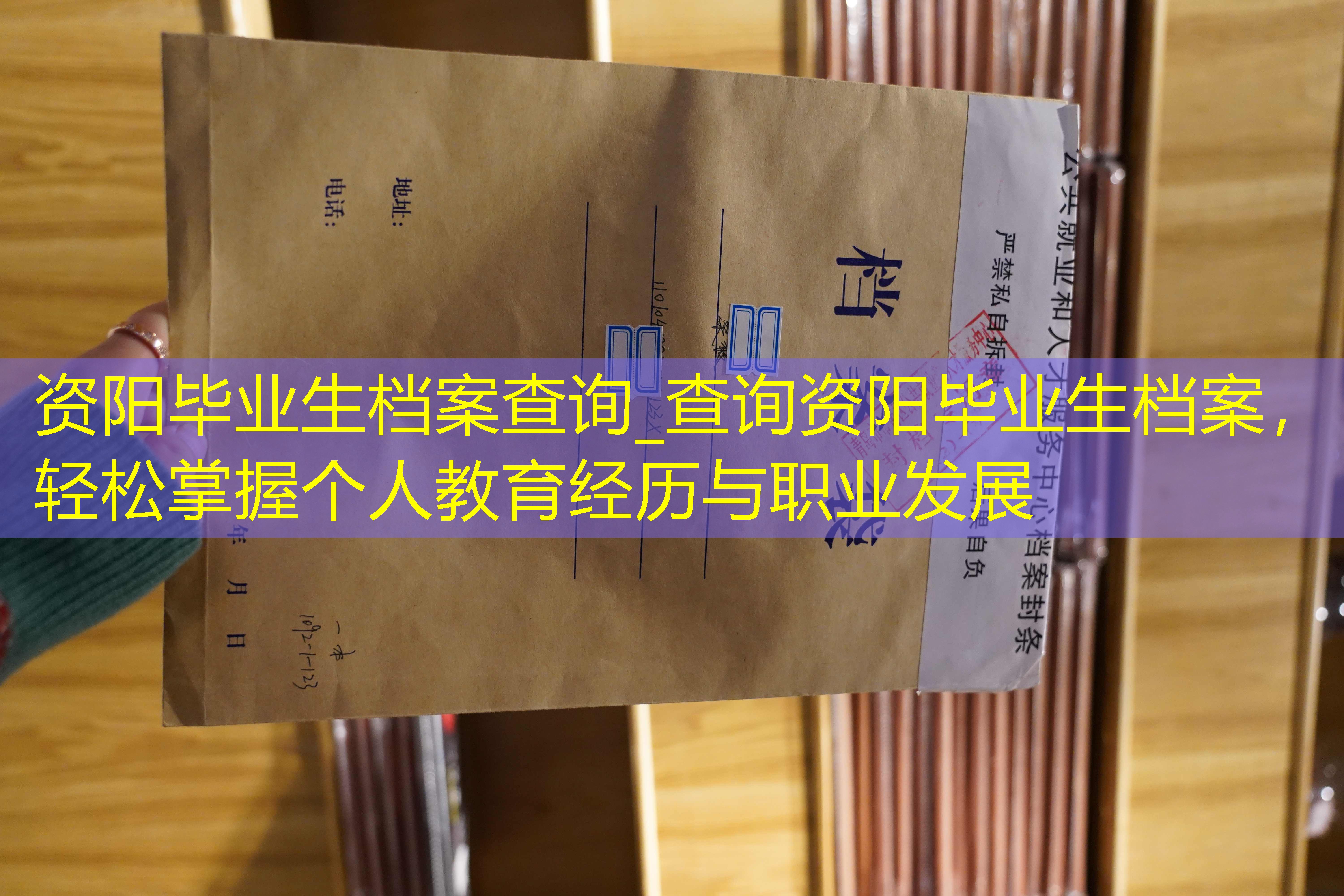 档案查询