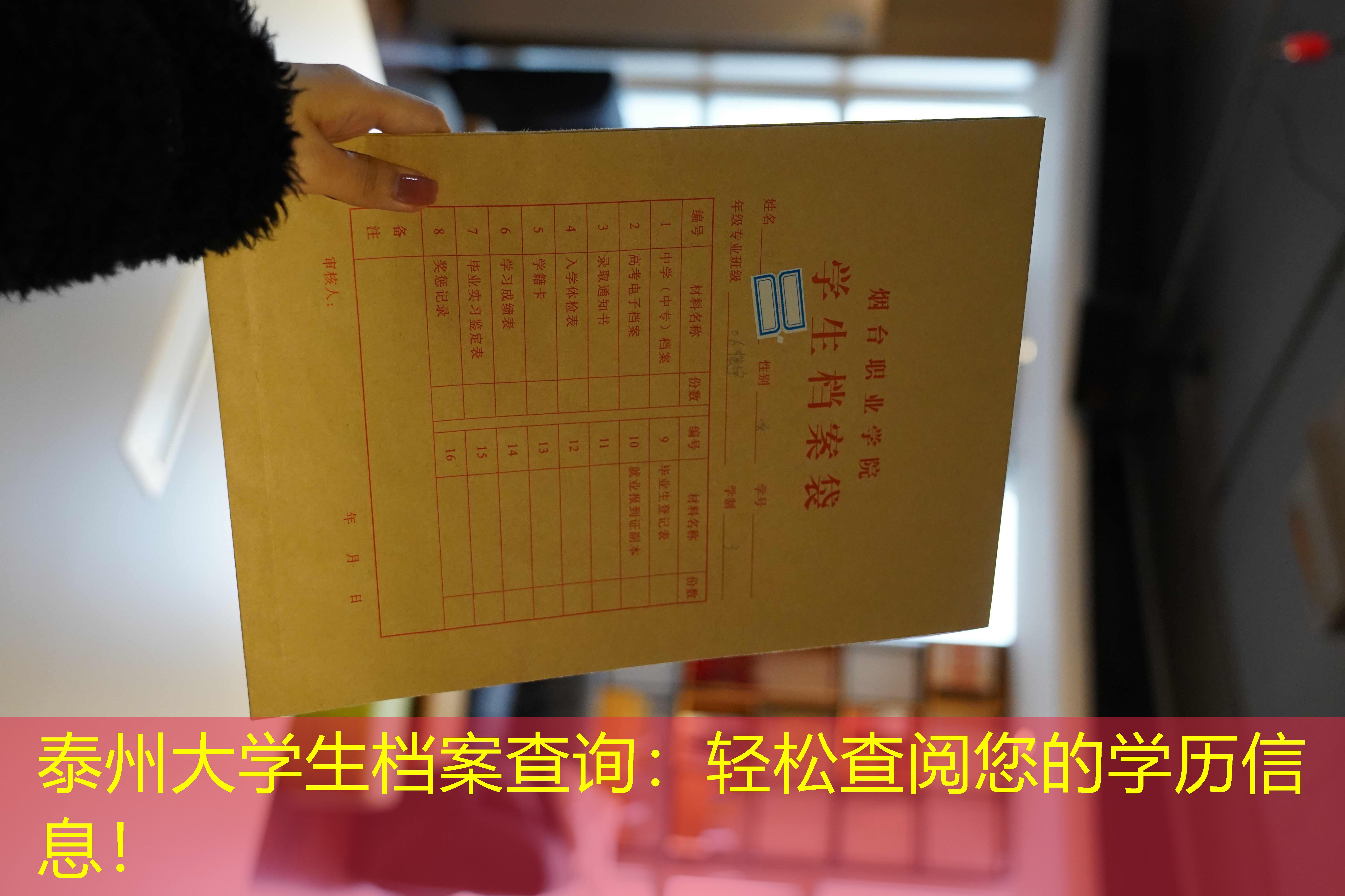 档案查询
