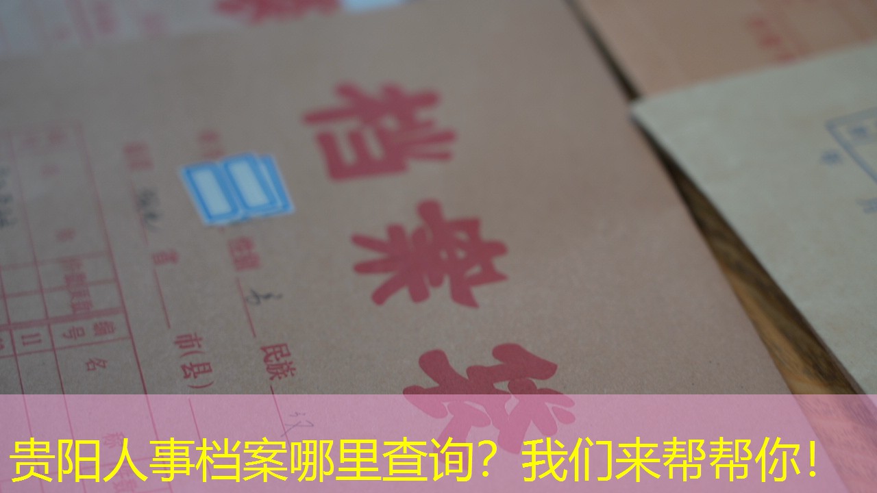 档案查询
