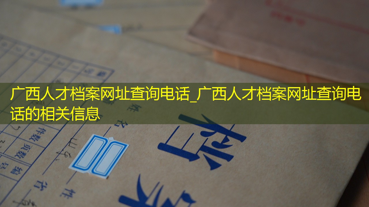 档案查询