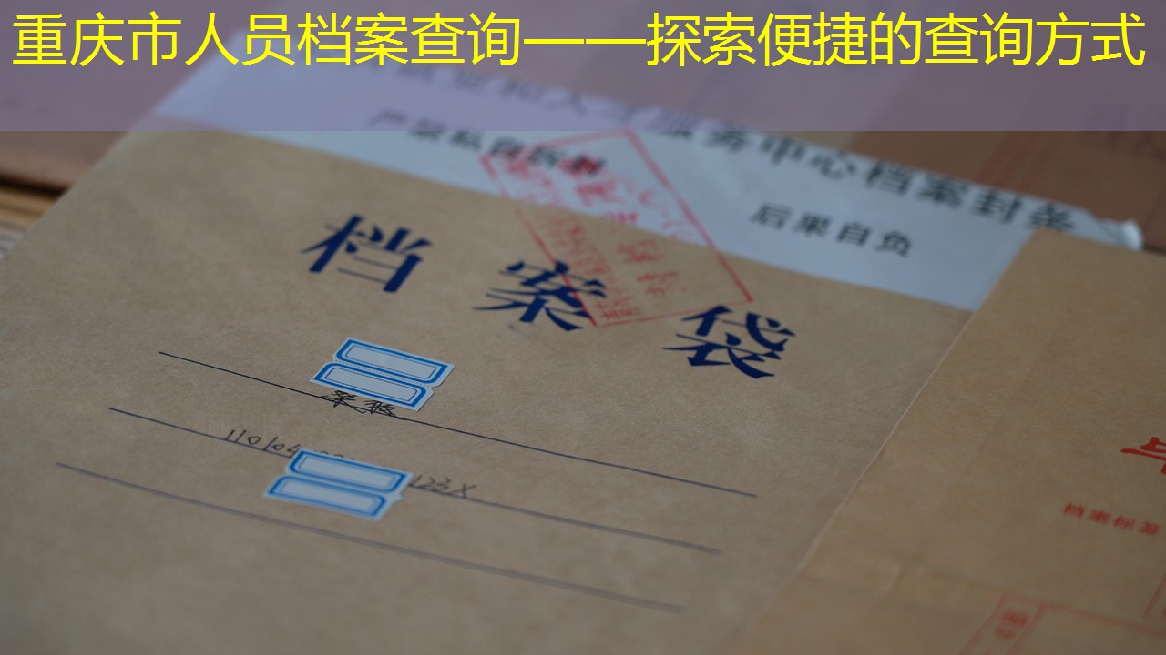 档案查询