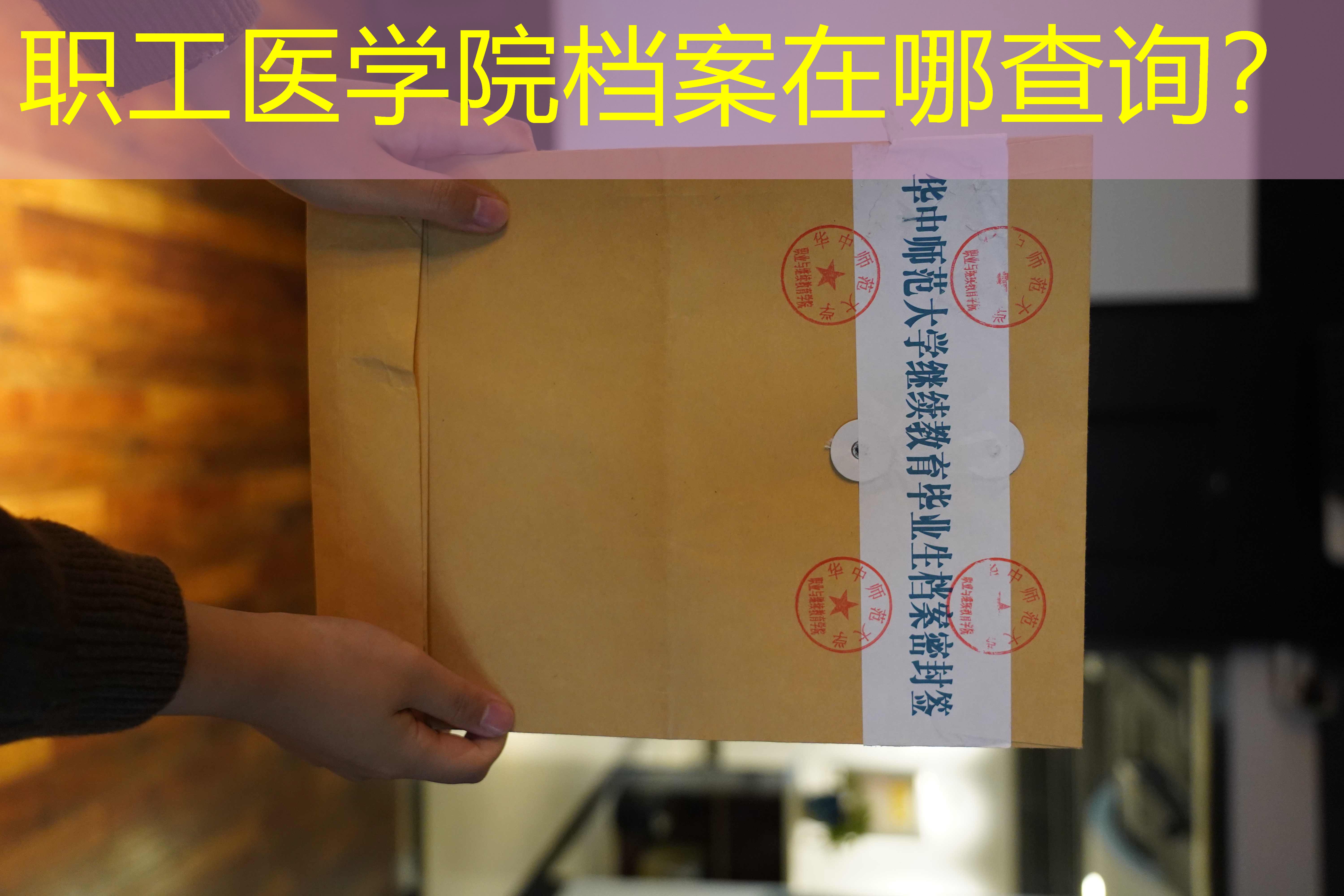 档案查询
