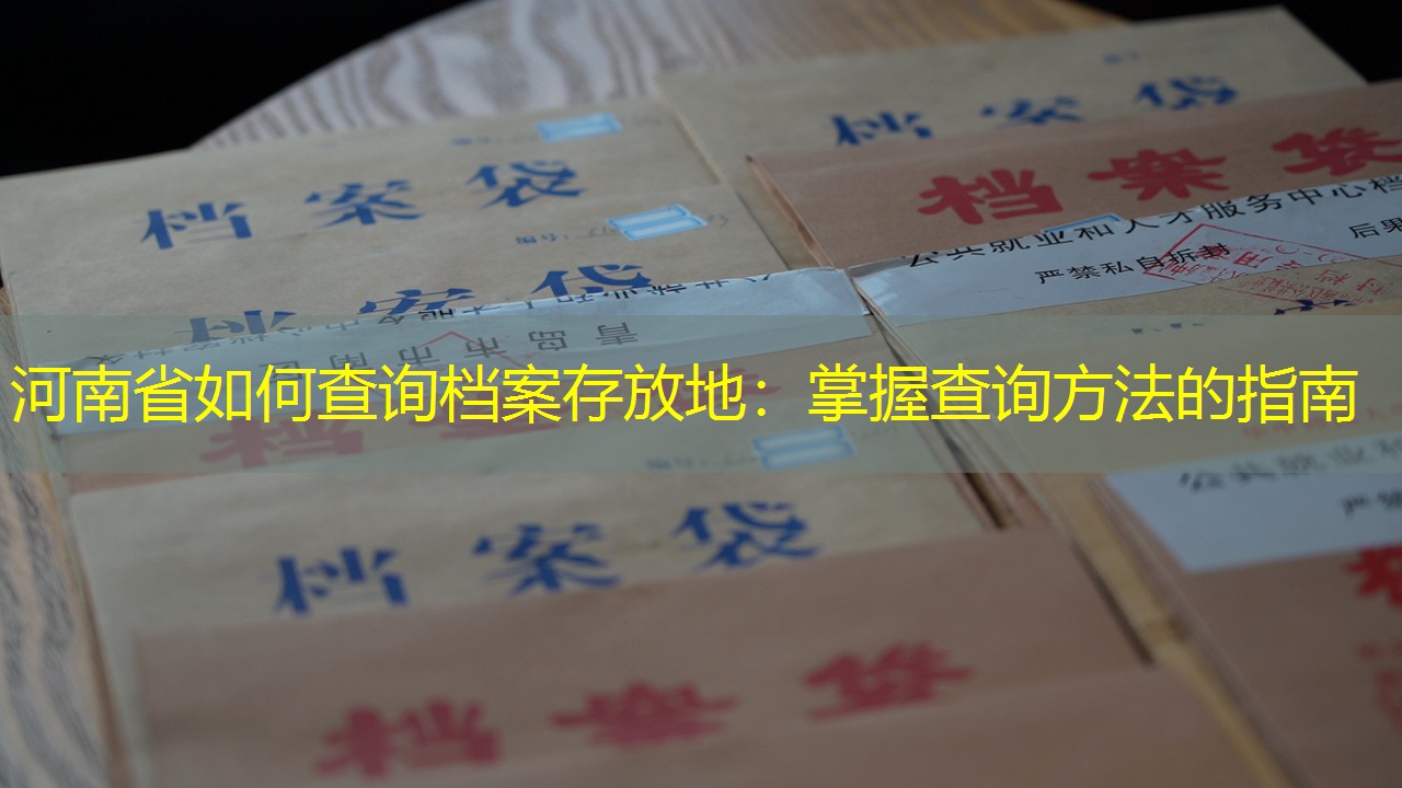 档案查询