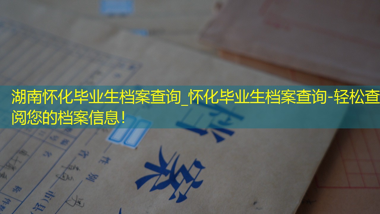 档案查询