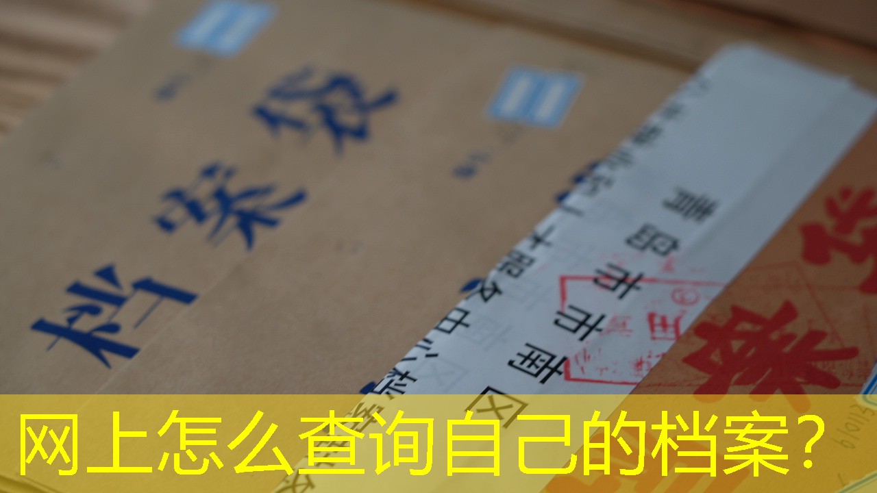 档案查询