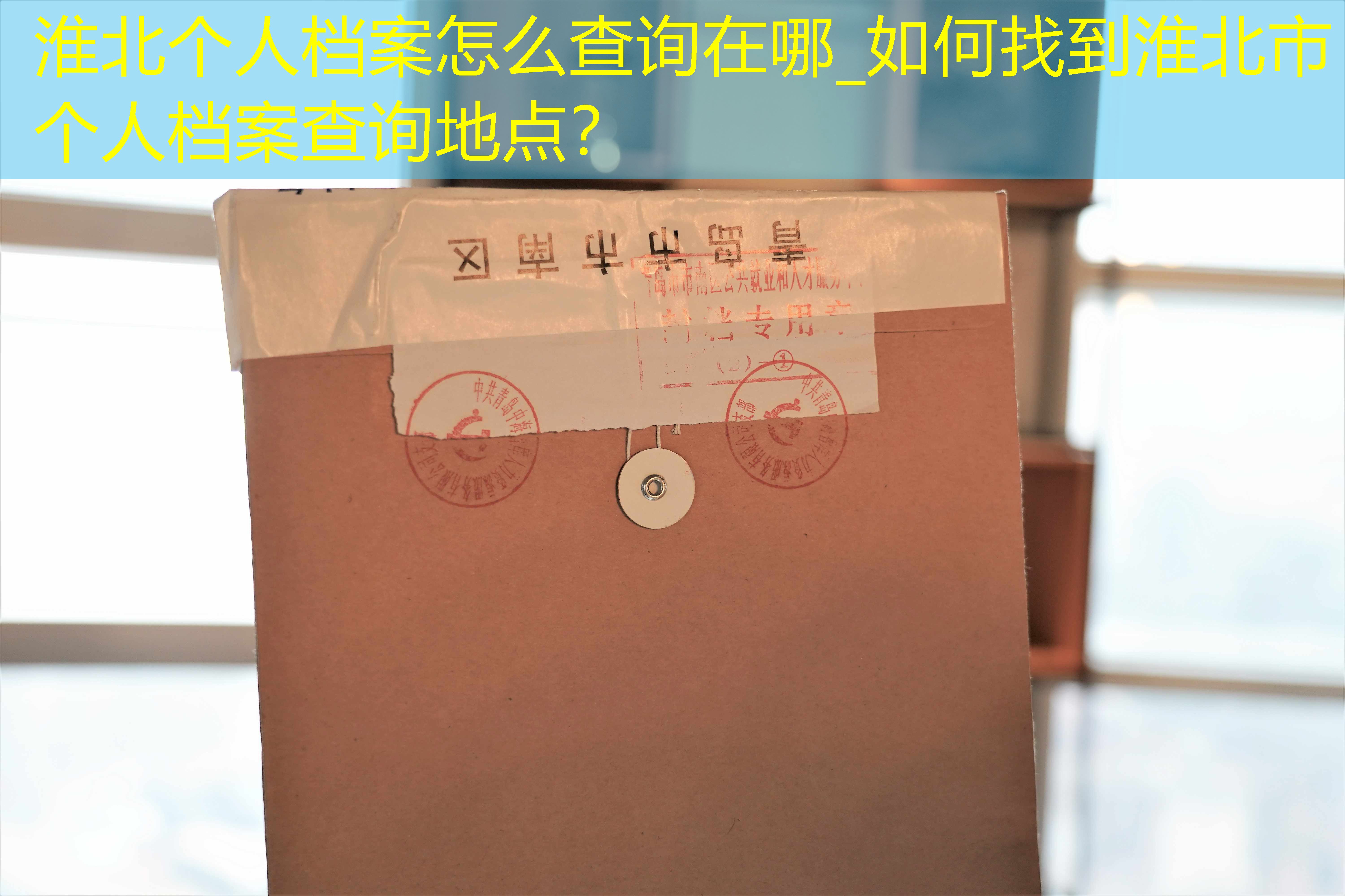 档案查询