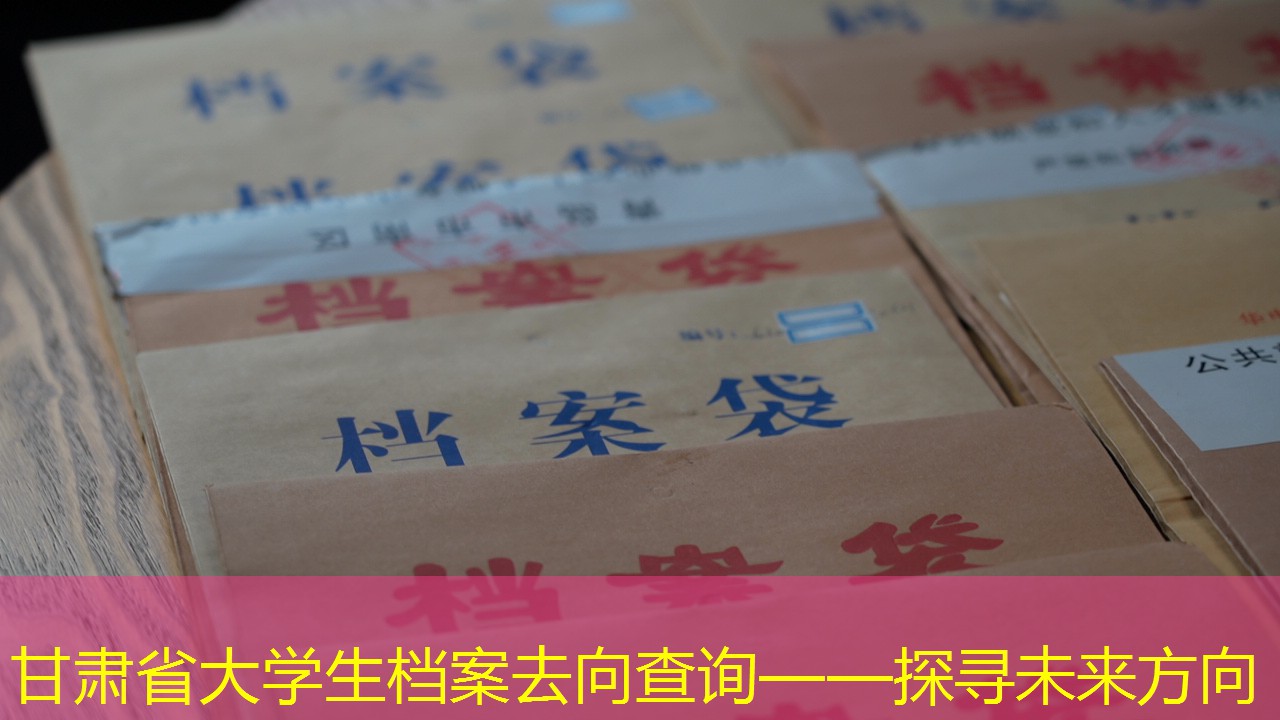 档案查询