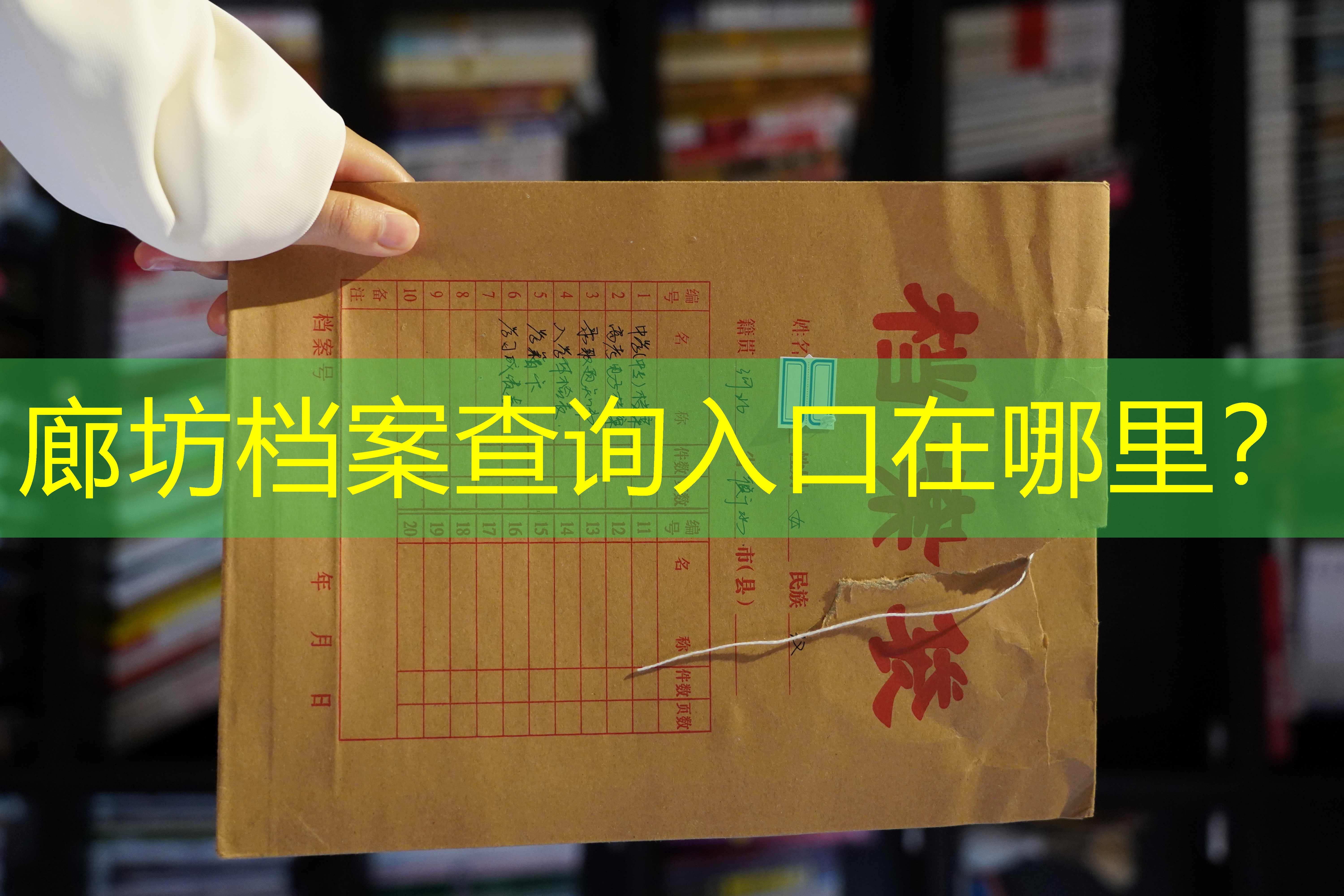 档案查询