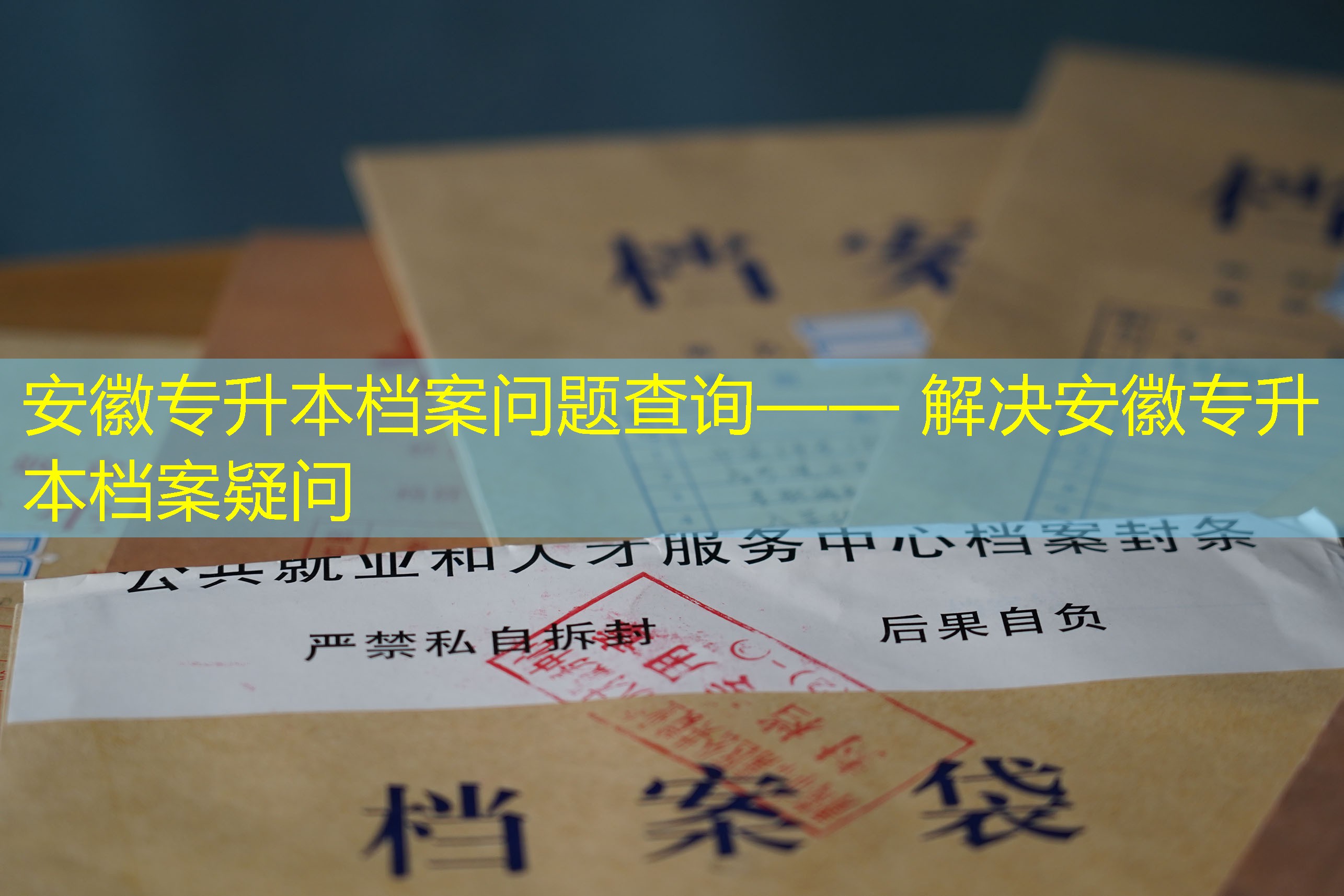 档案查询