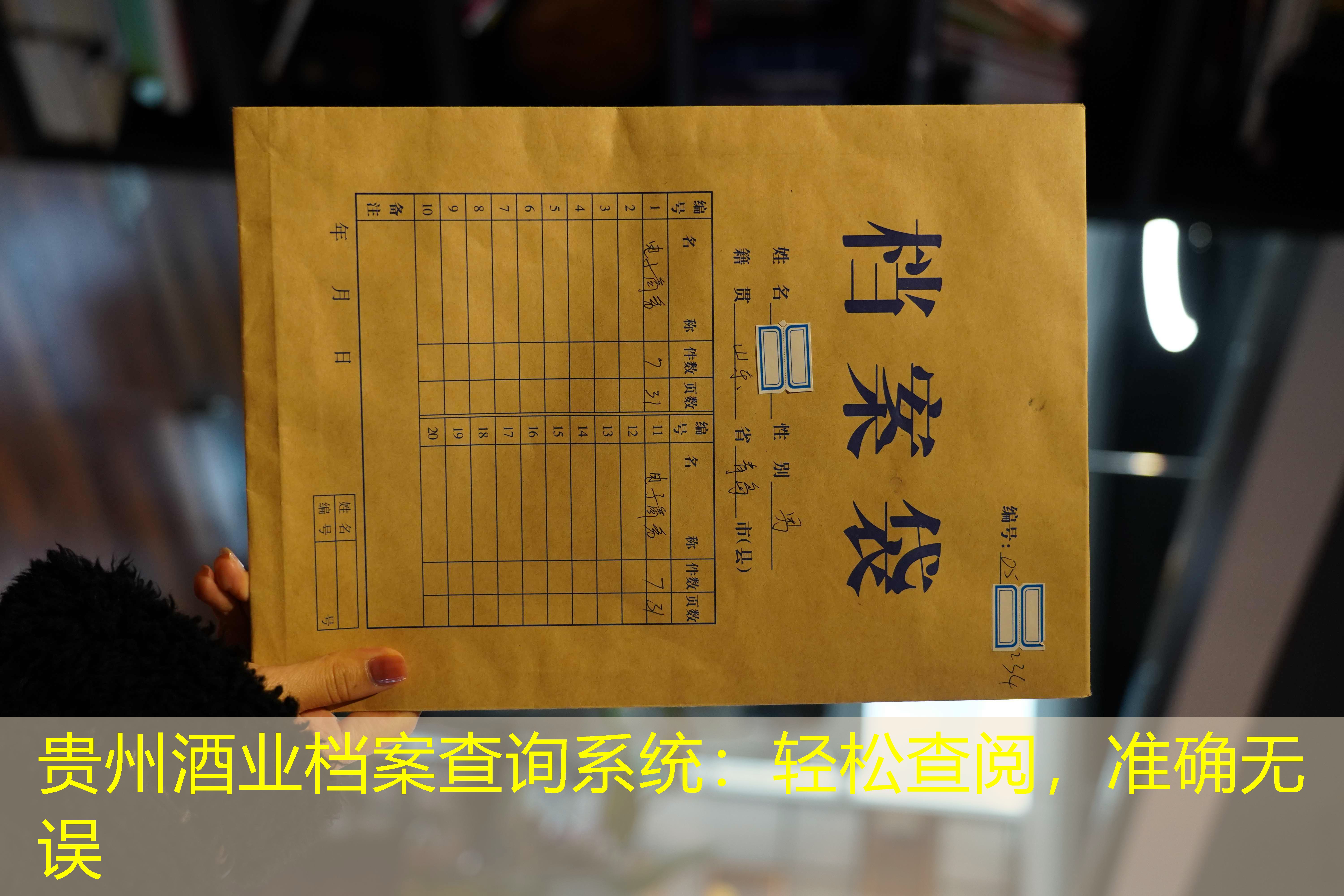 档案查询