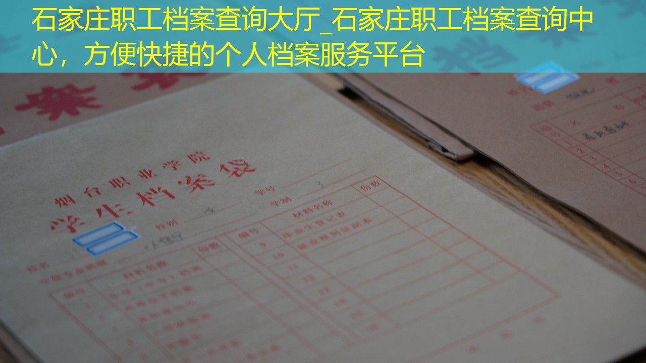档案查询