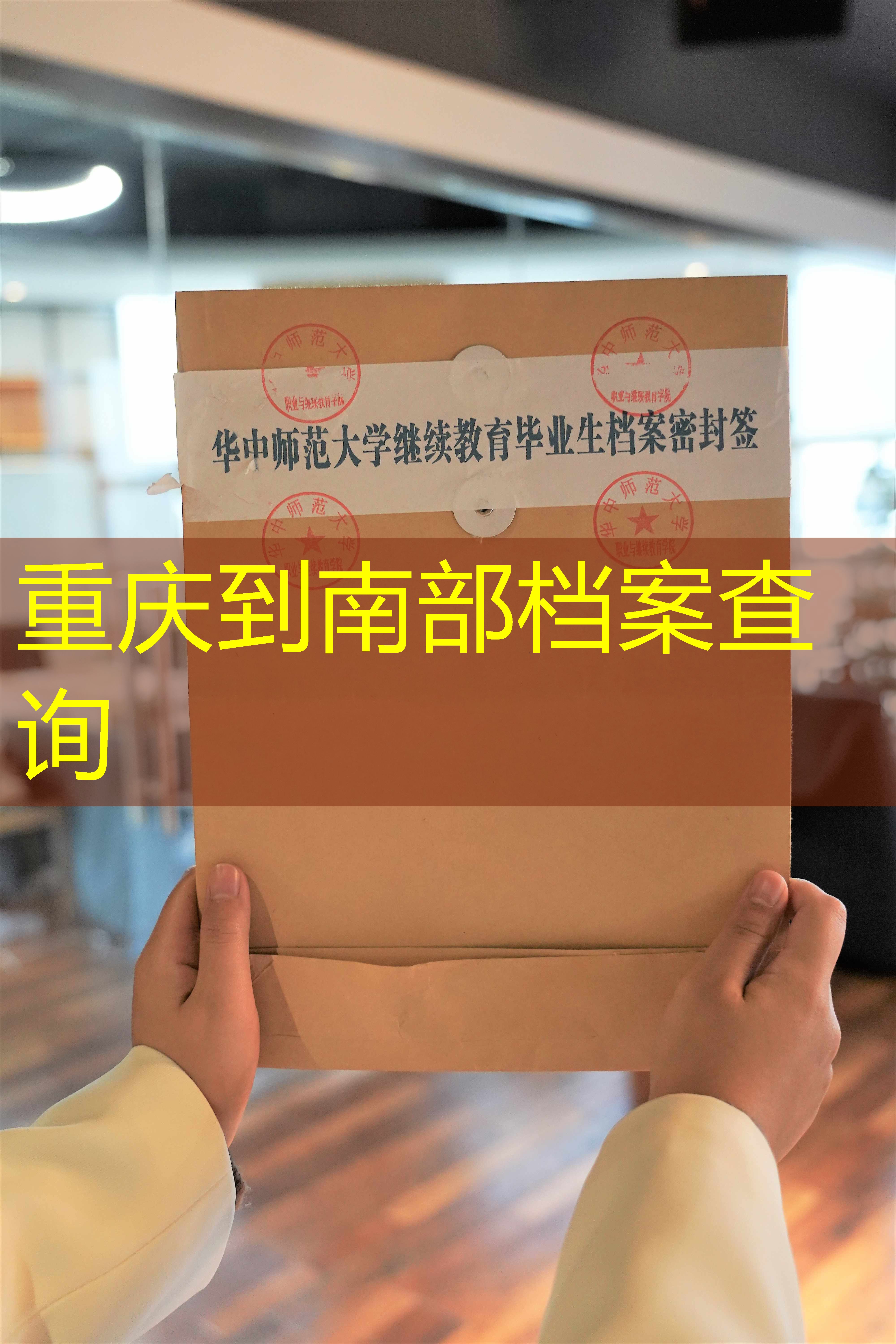 档案查询