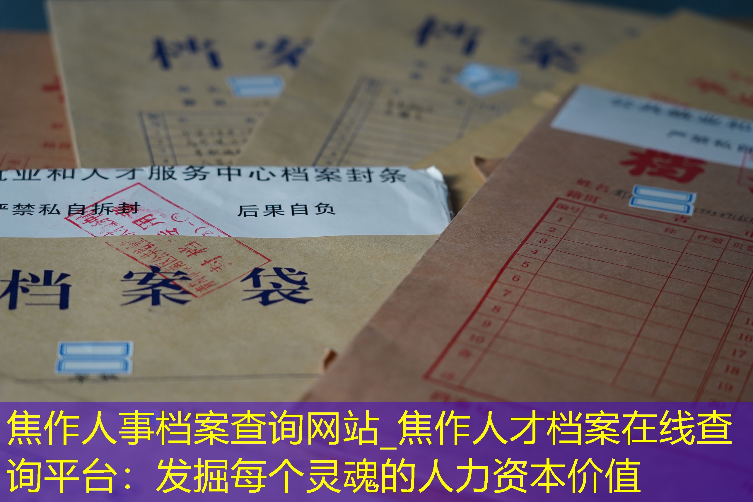 档案查询