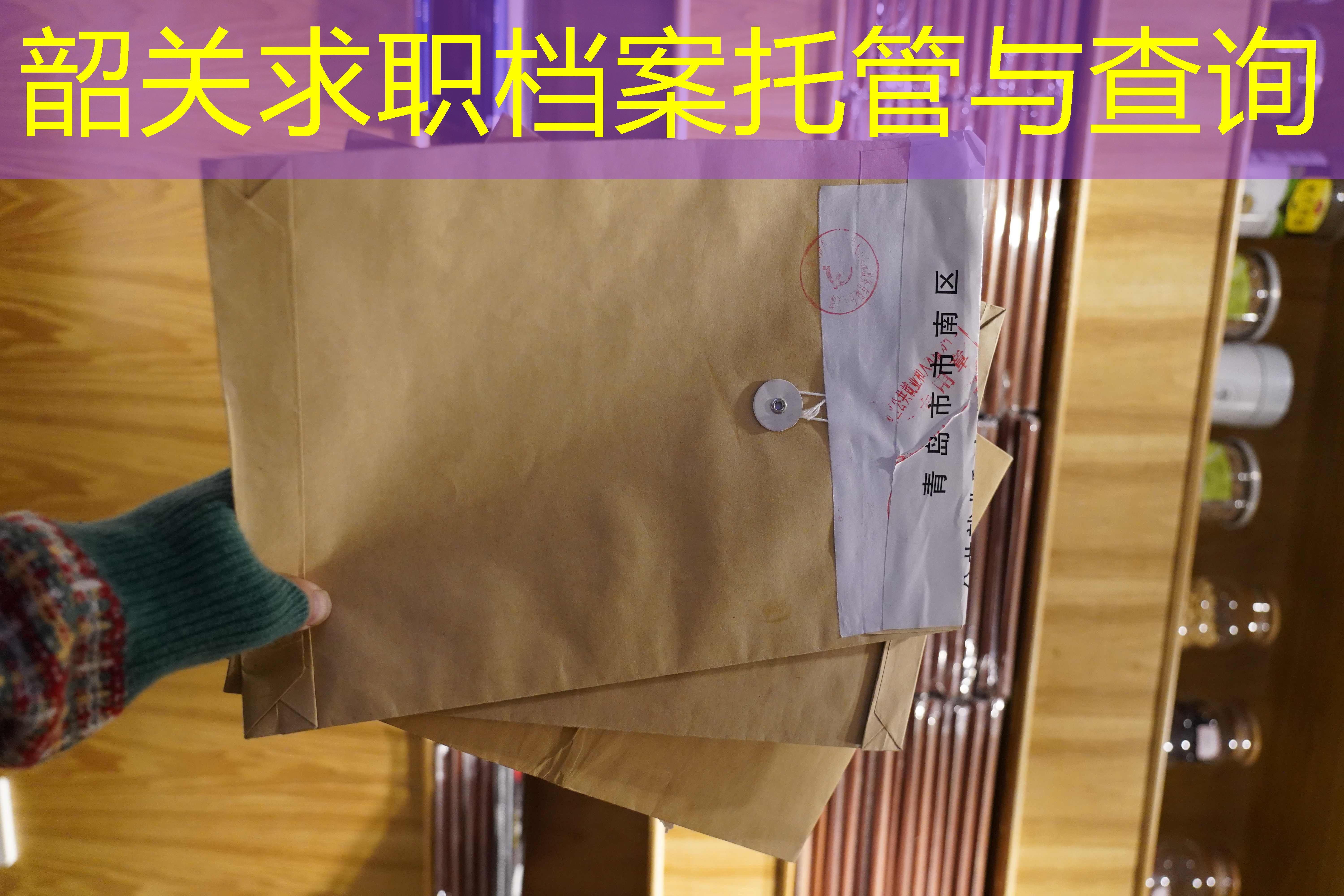 档案查询