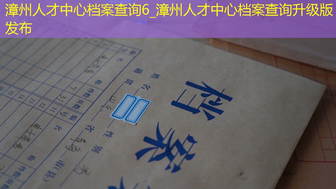 档案查询