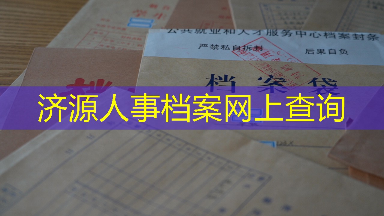 档案查询