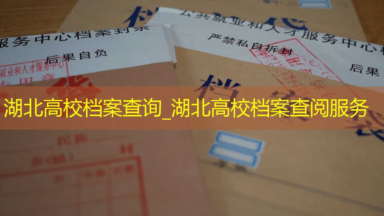 档案查询