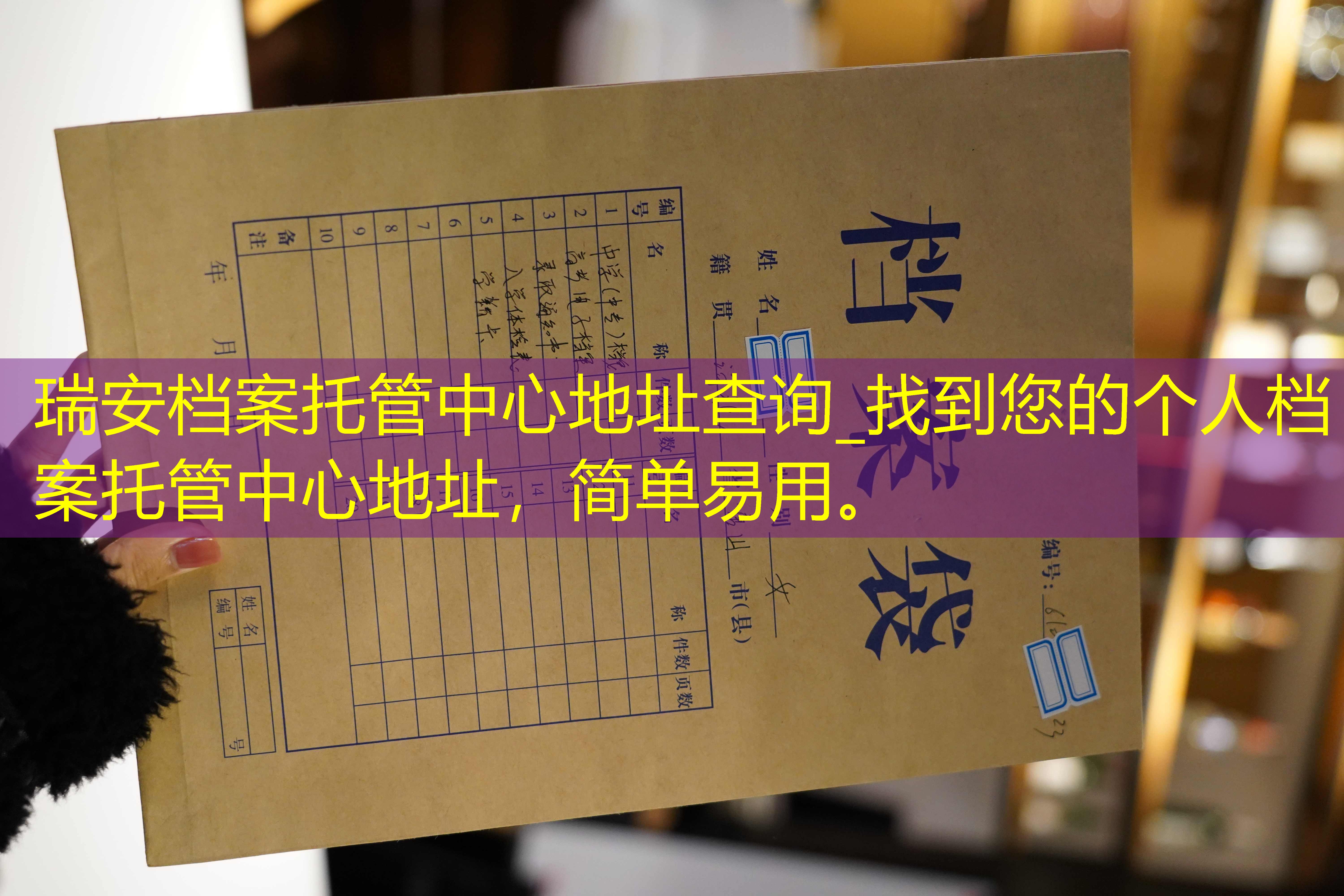 档案查询