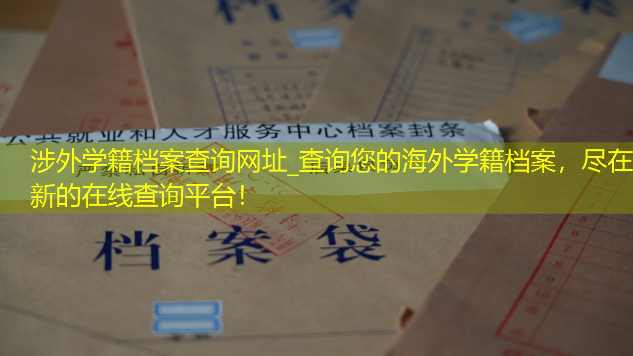 档案查询