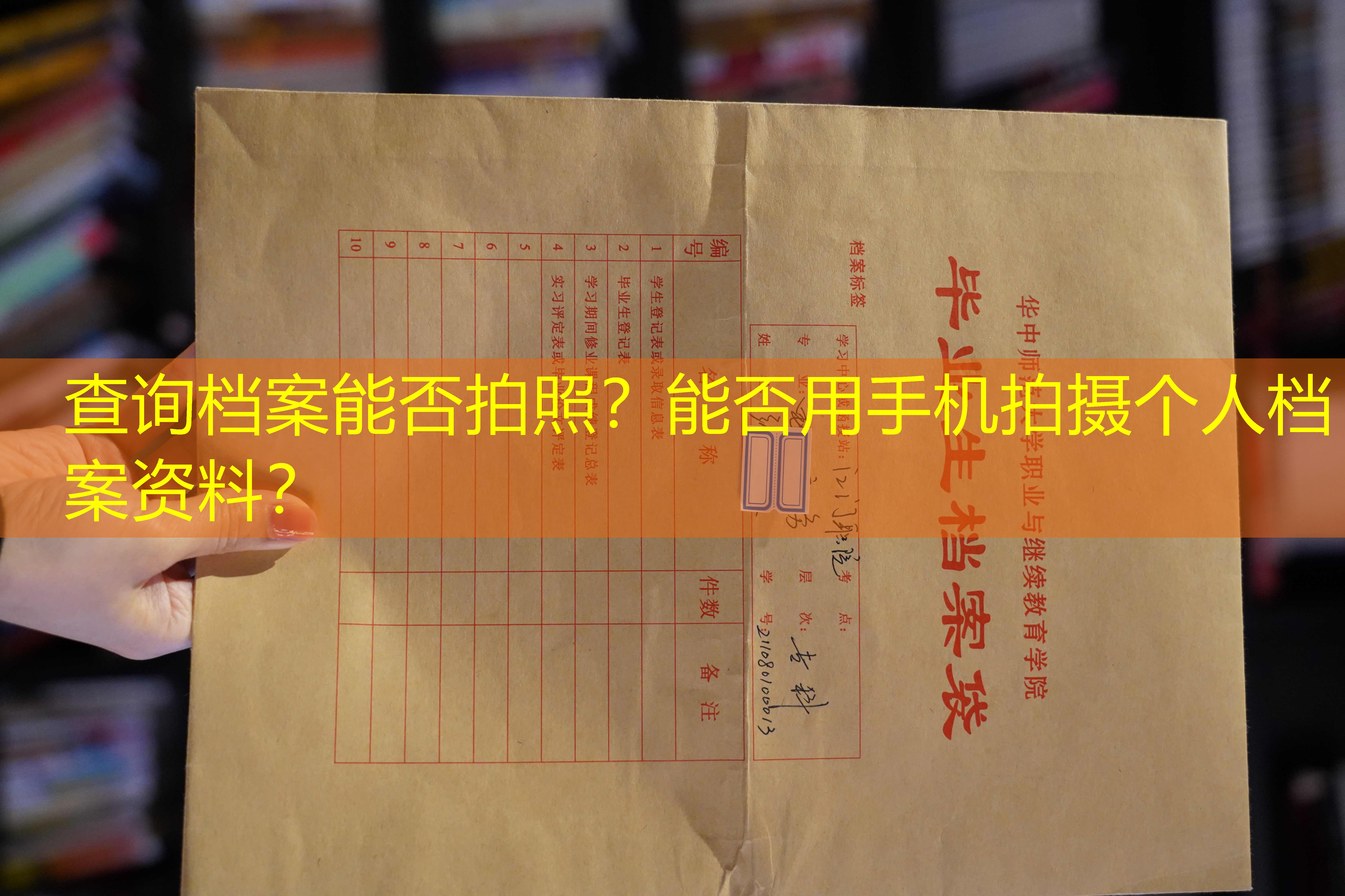 档案查询